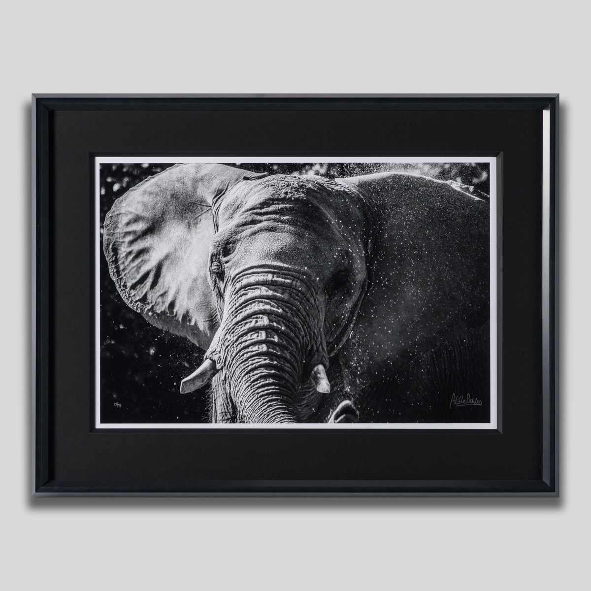 ABE SLE WWL 25722 1 Tusker