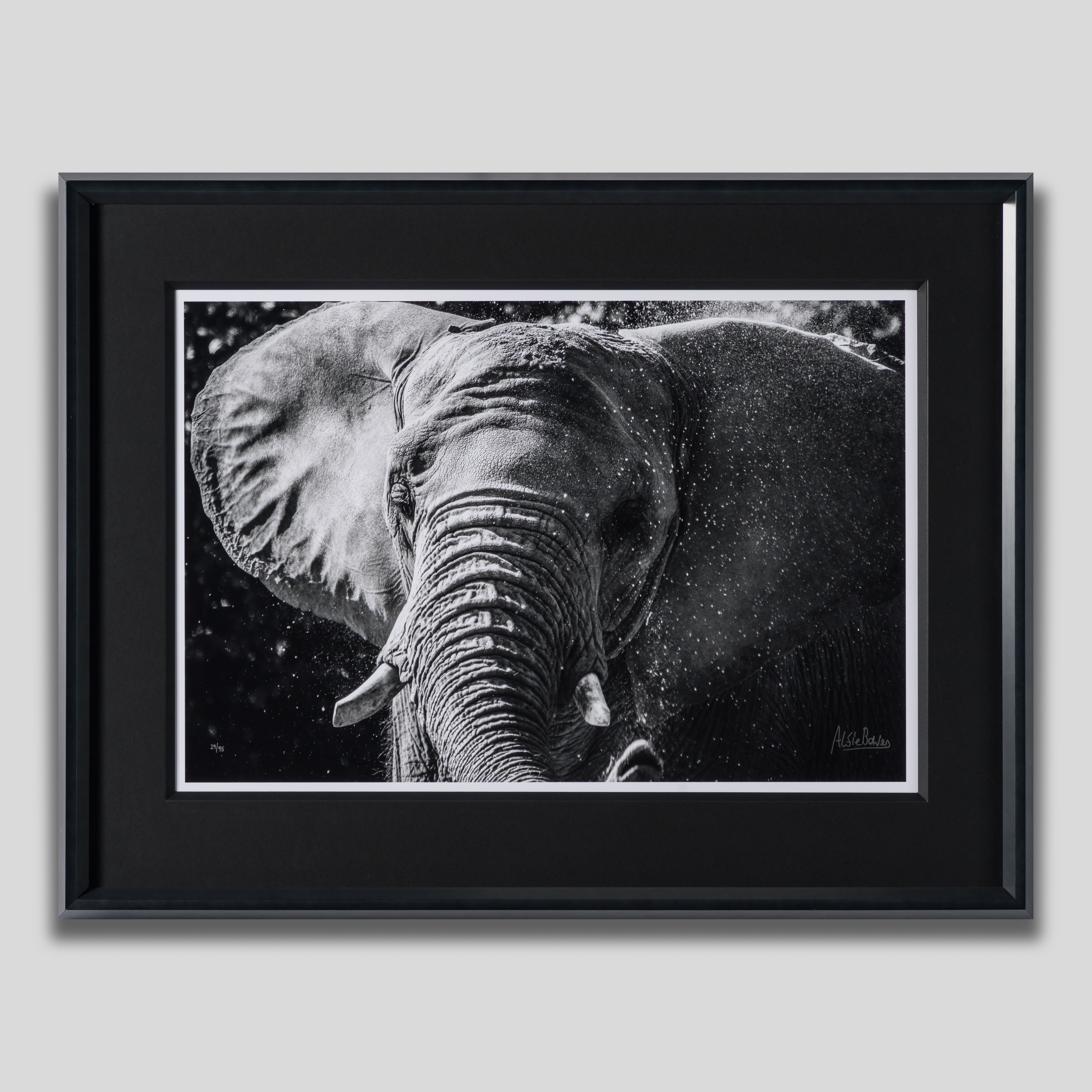 ABE SLE WWL 25722 1 Tusker