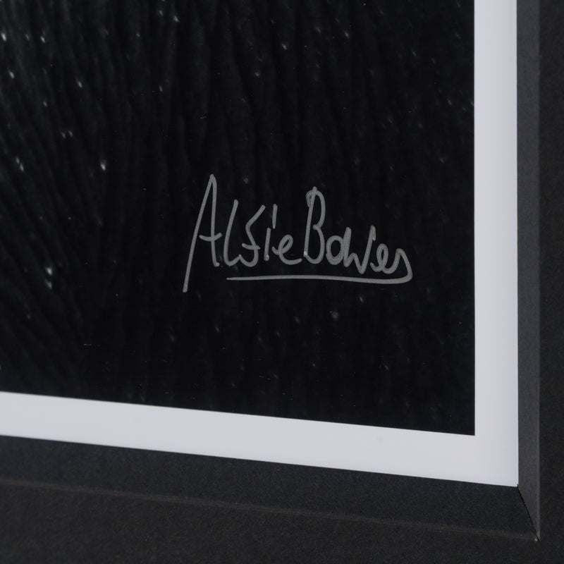 ABE SLE WWL 25722 3 Tusker