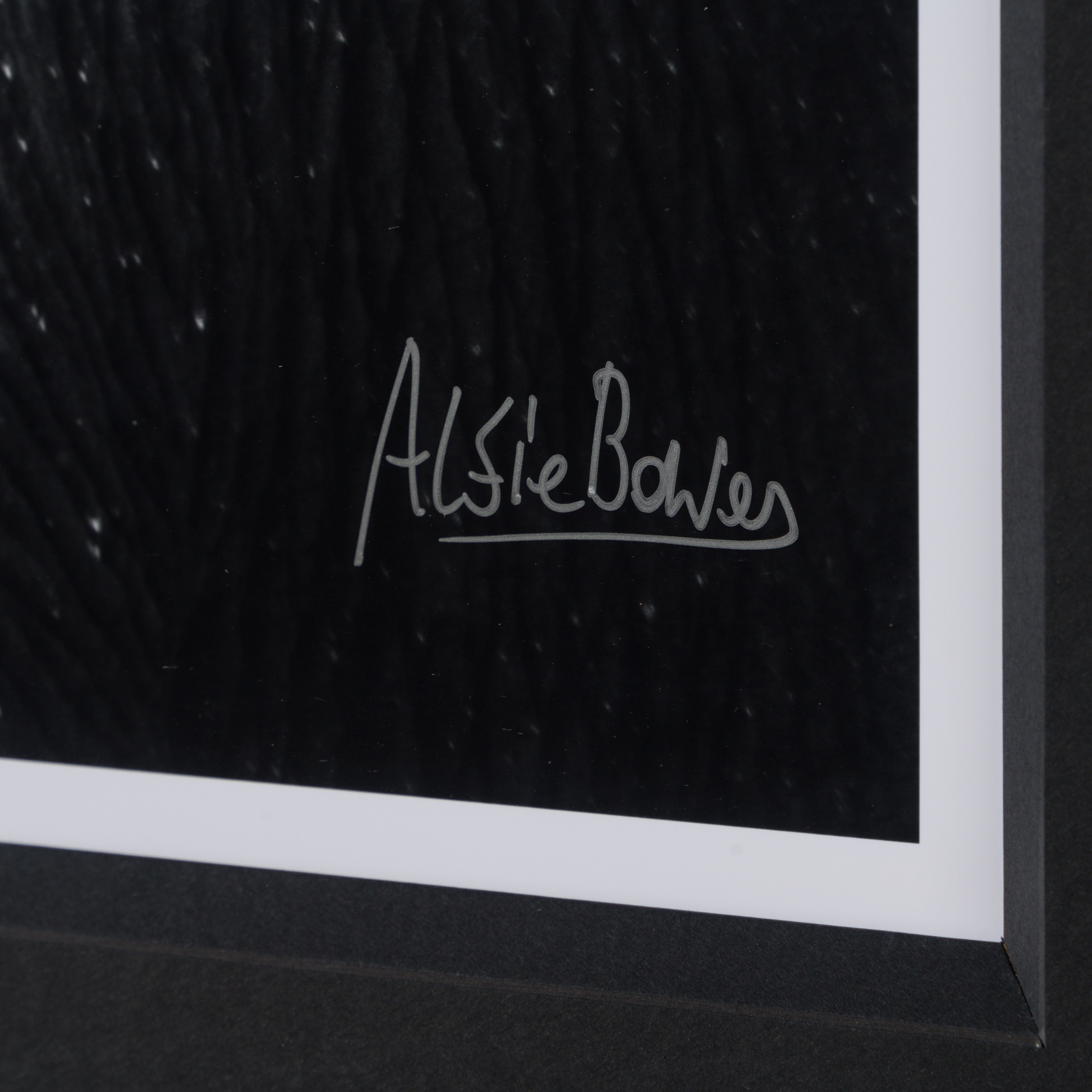 ABE SLE WWL 25722 3 Tusker