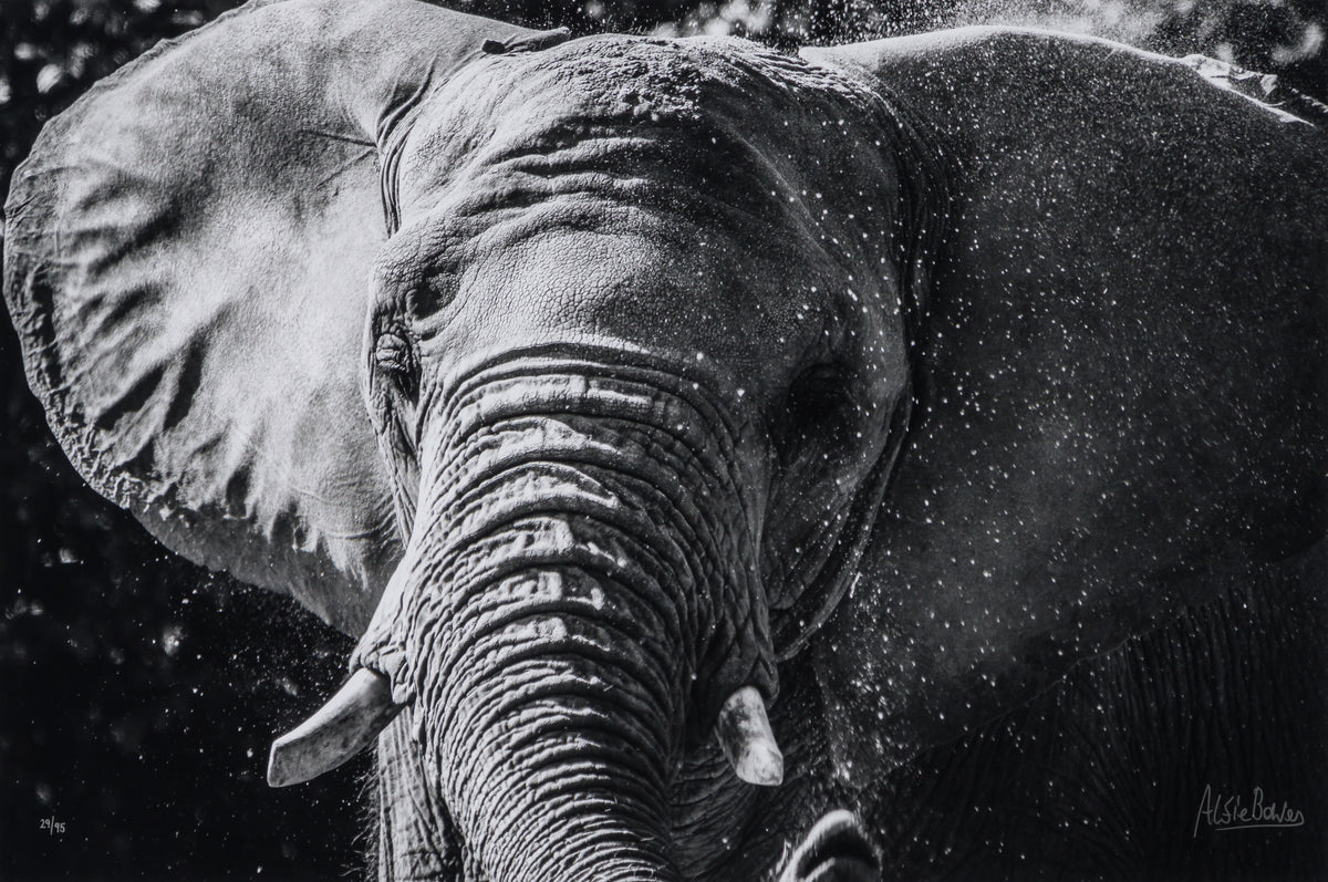 ABE SLE WWL 25722 31 Tusker