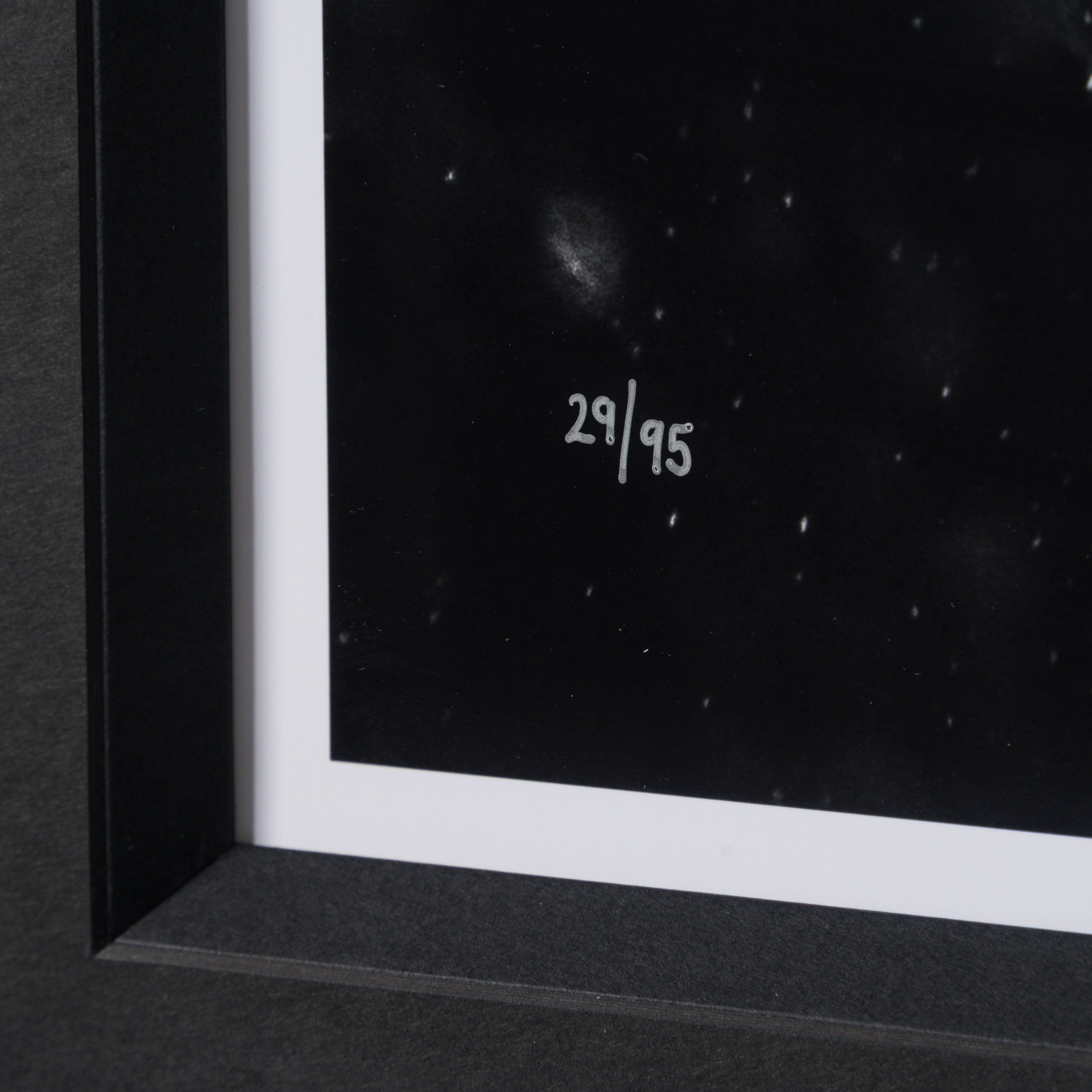 ABE SLE WWL 25722 4 Tusker