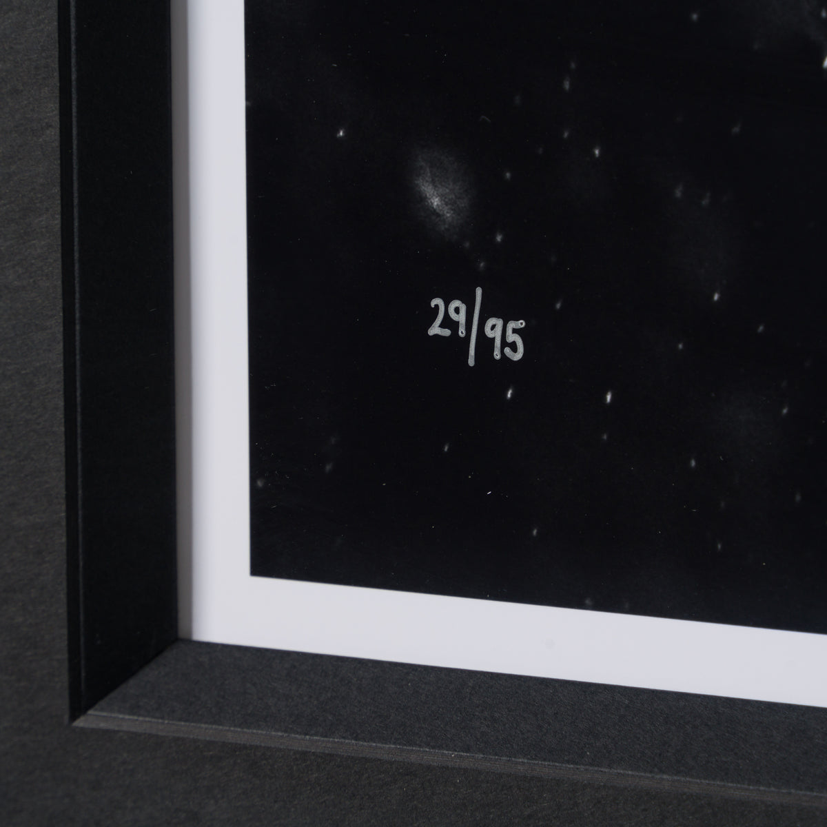 ABE SLE WWL 25722 4 Tusker