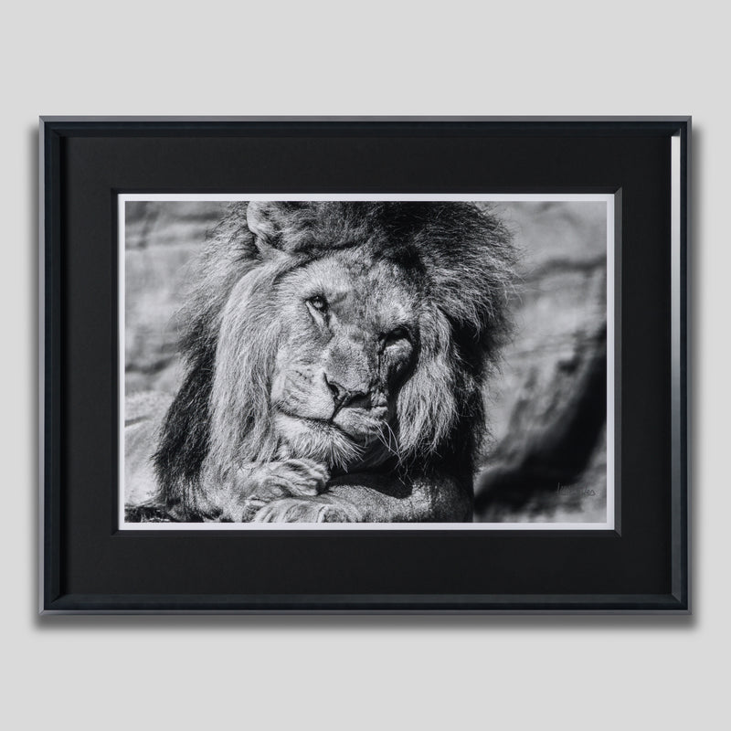 ABE SLE WWL 25723 1 Sovereign