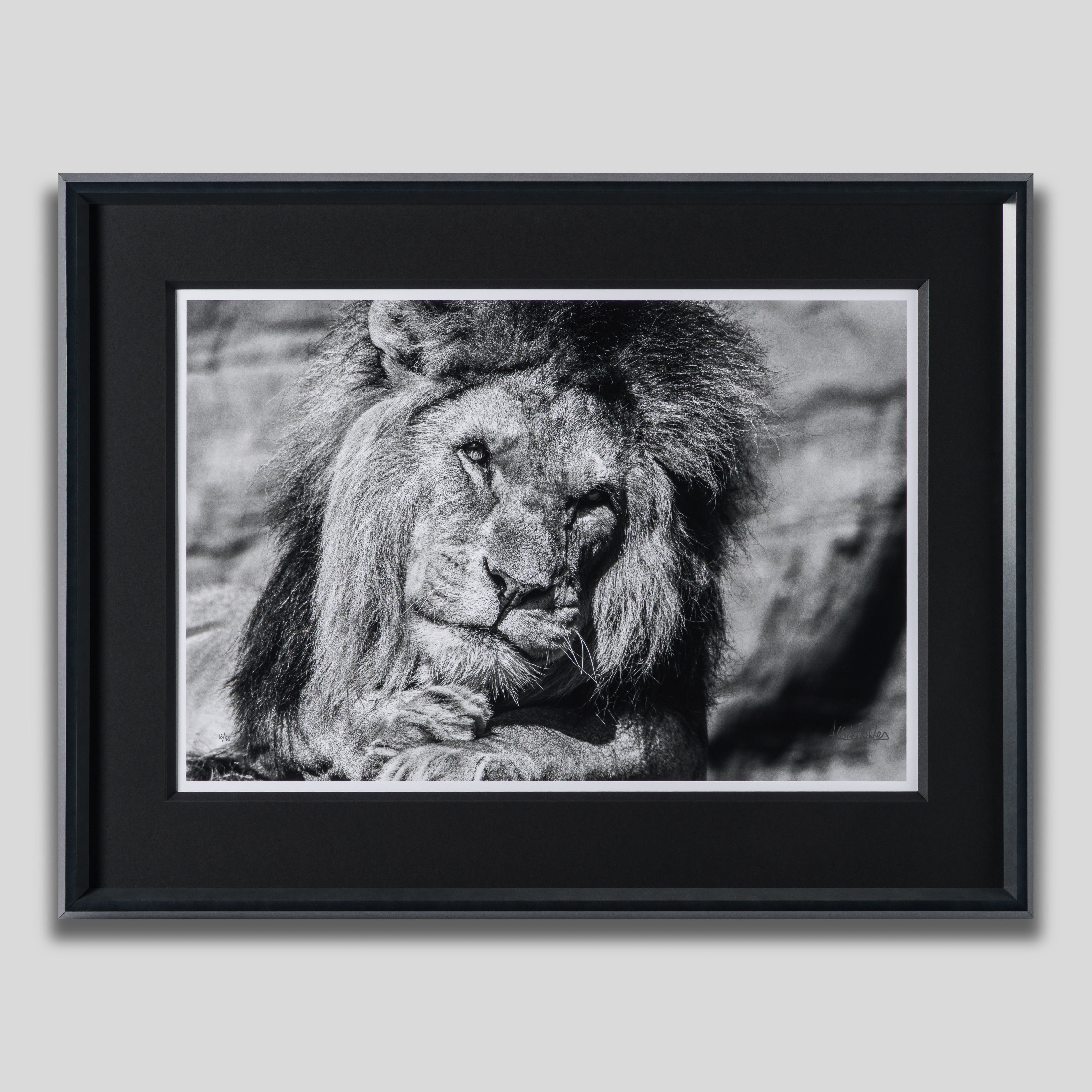 ABE SLE WWL 25723 1 Sovereign