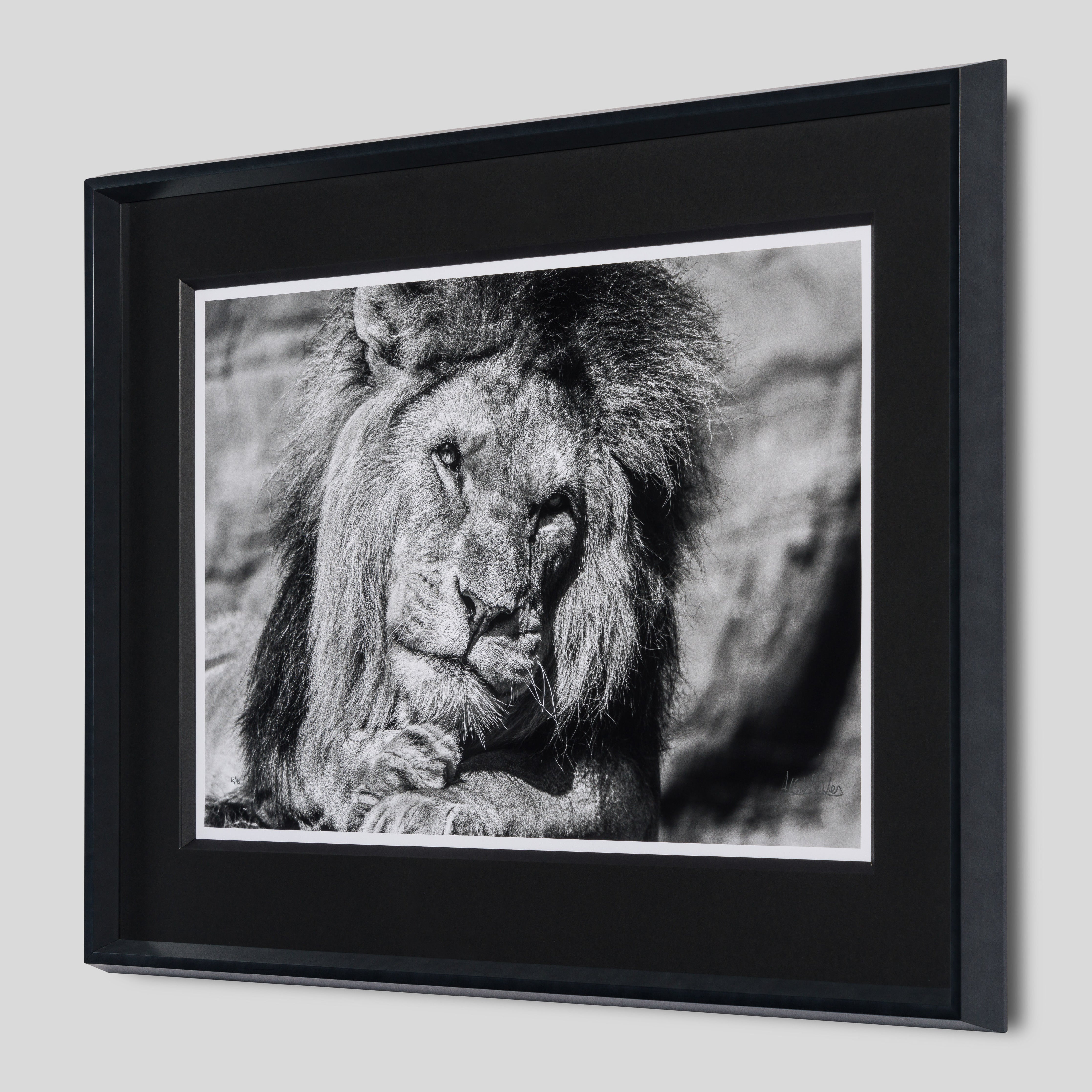 ABE SLE WWL 25723 2 Sovereign