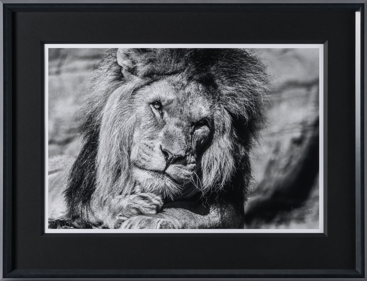 ABE SLE WWL 25723 30 Sovereign