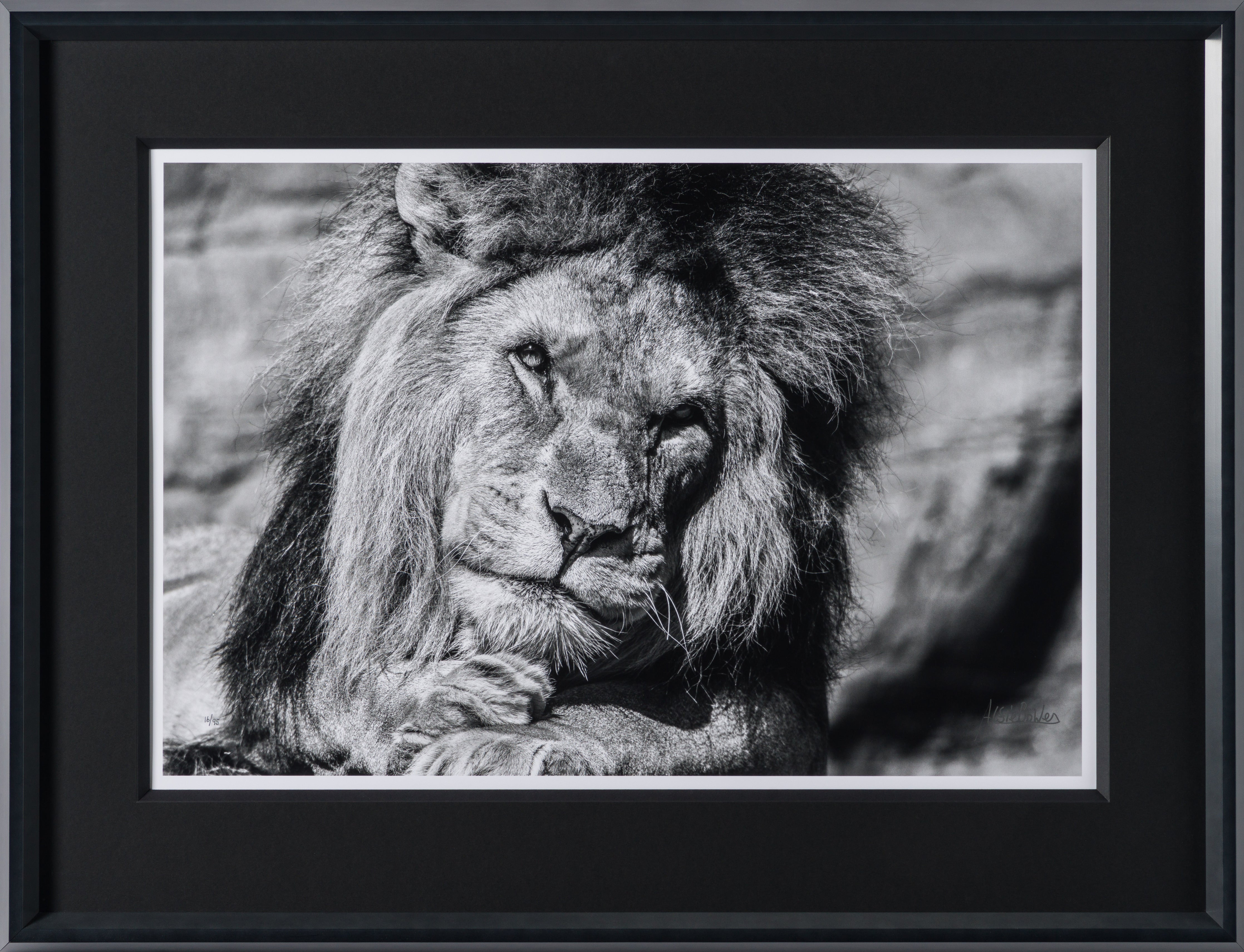 ABE SLE WWL 25723 30 Sovereign