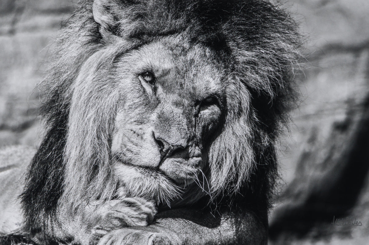 ABE SLE WWL 25723 31 Sovereign