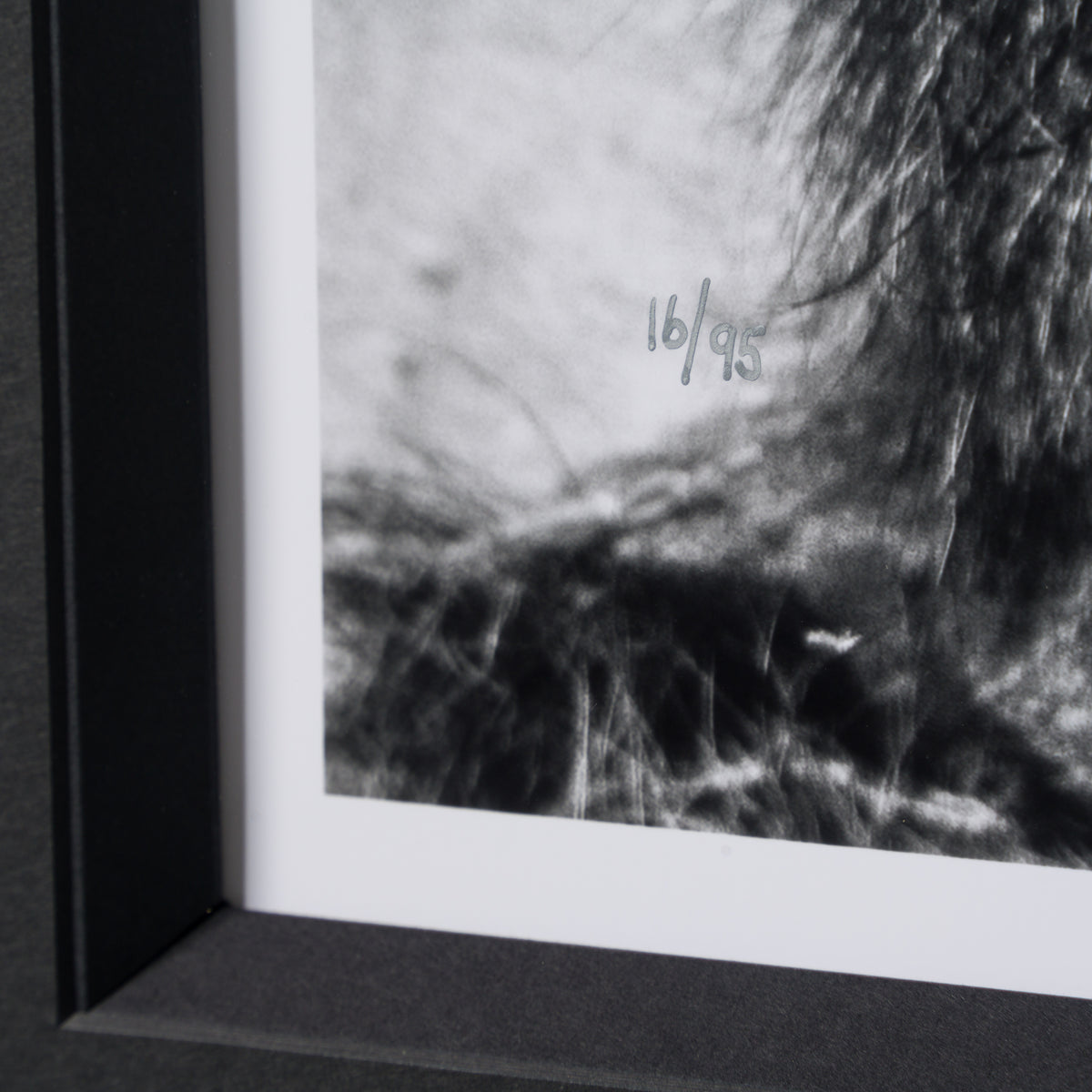 ABE SLE WWL 25723 4 Sovereign