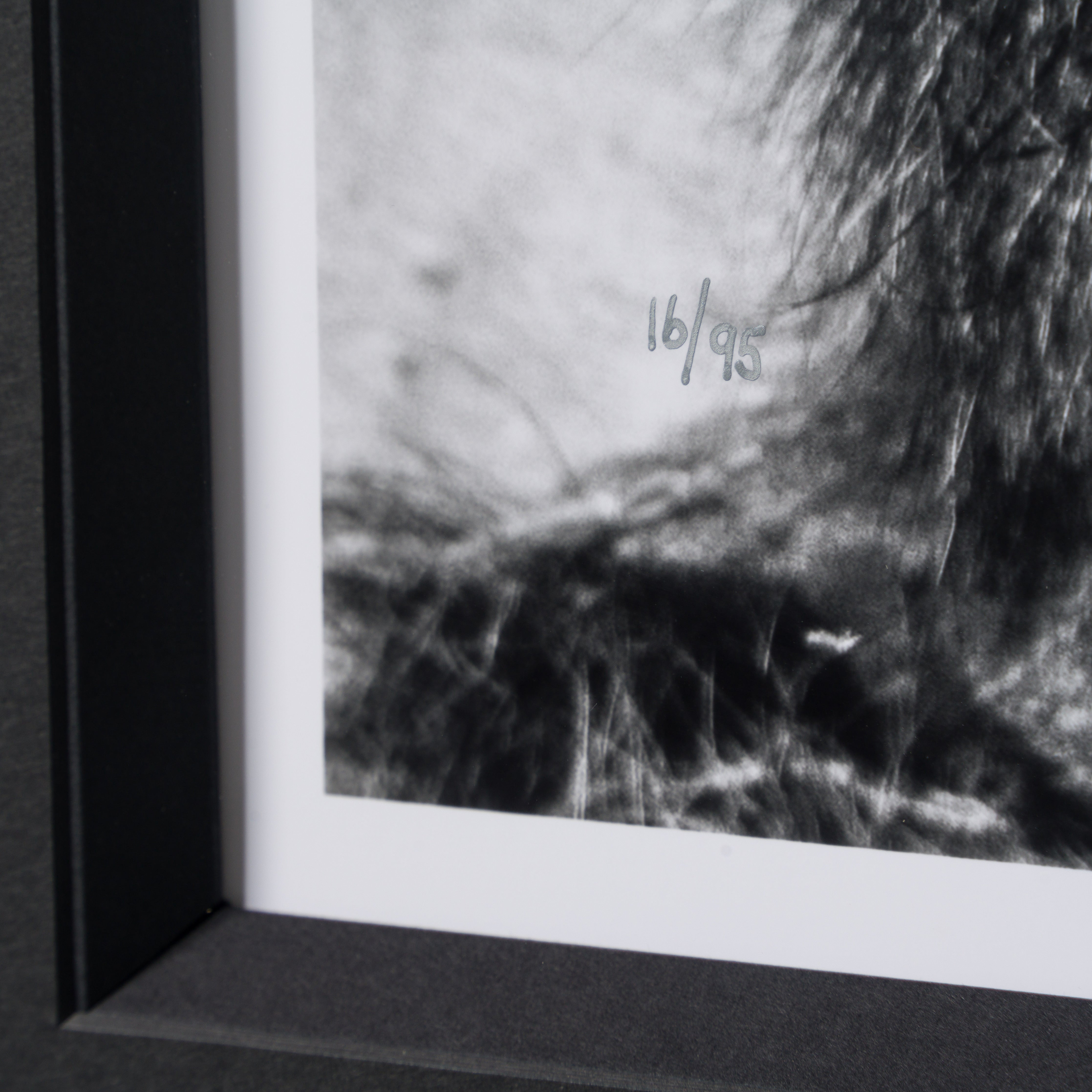 ABE SLE WWL 25723 4 Sovereign