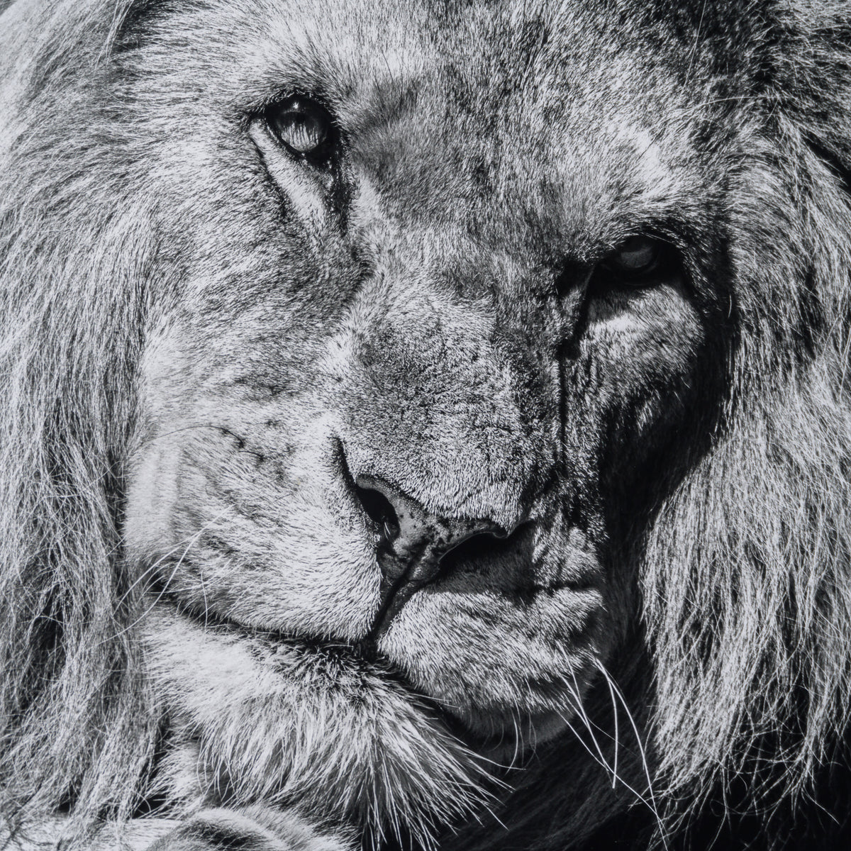 ABE SLE WWL 25723 5 Sovereign