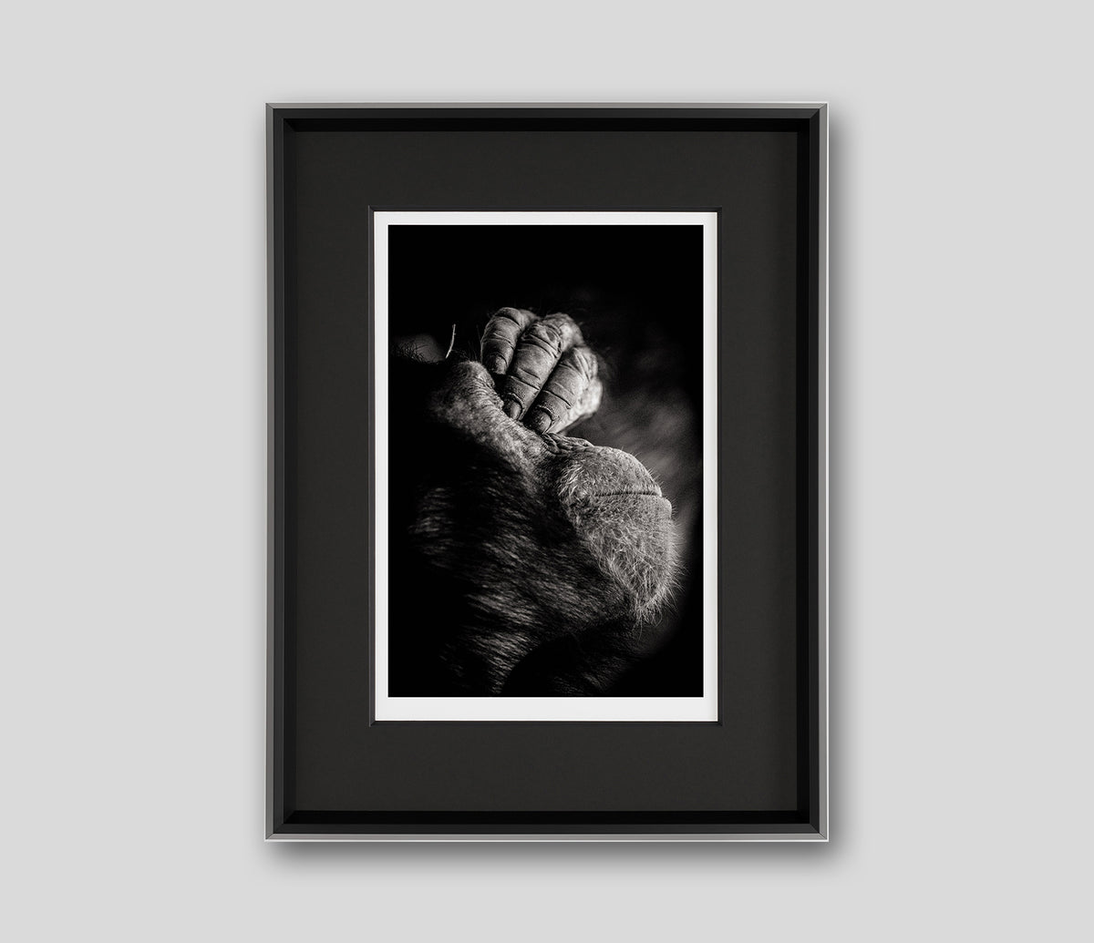 ABO ITS BEEN A LONG DAY GREY