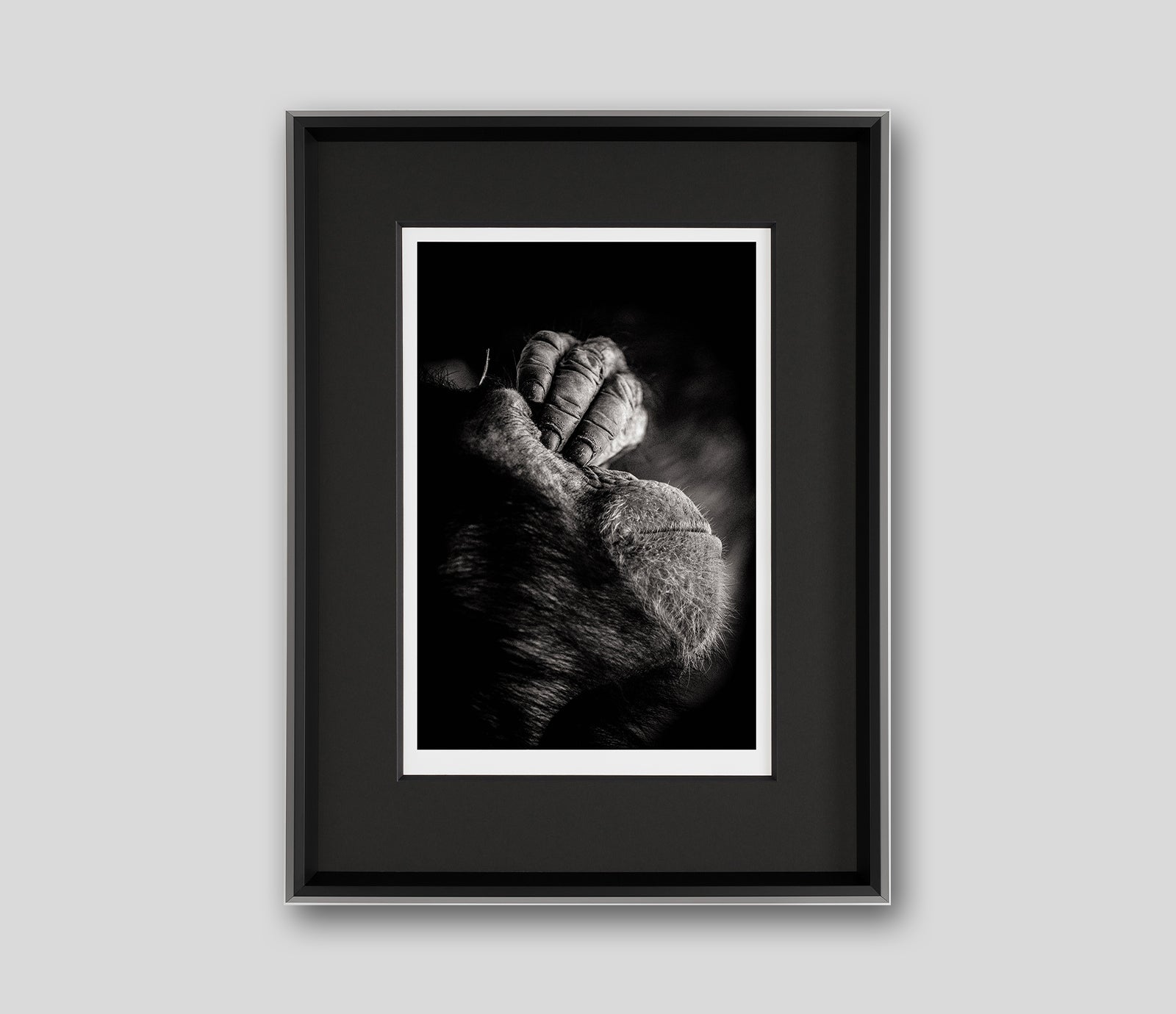 ABO ITS BEEN A LONG DAY GREY