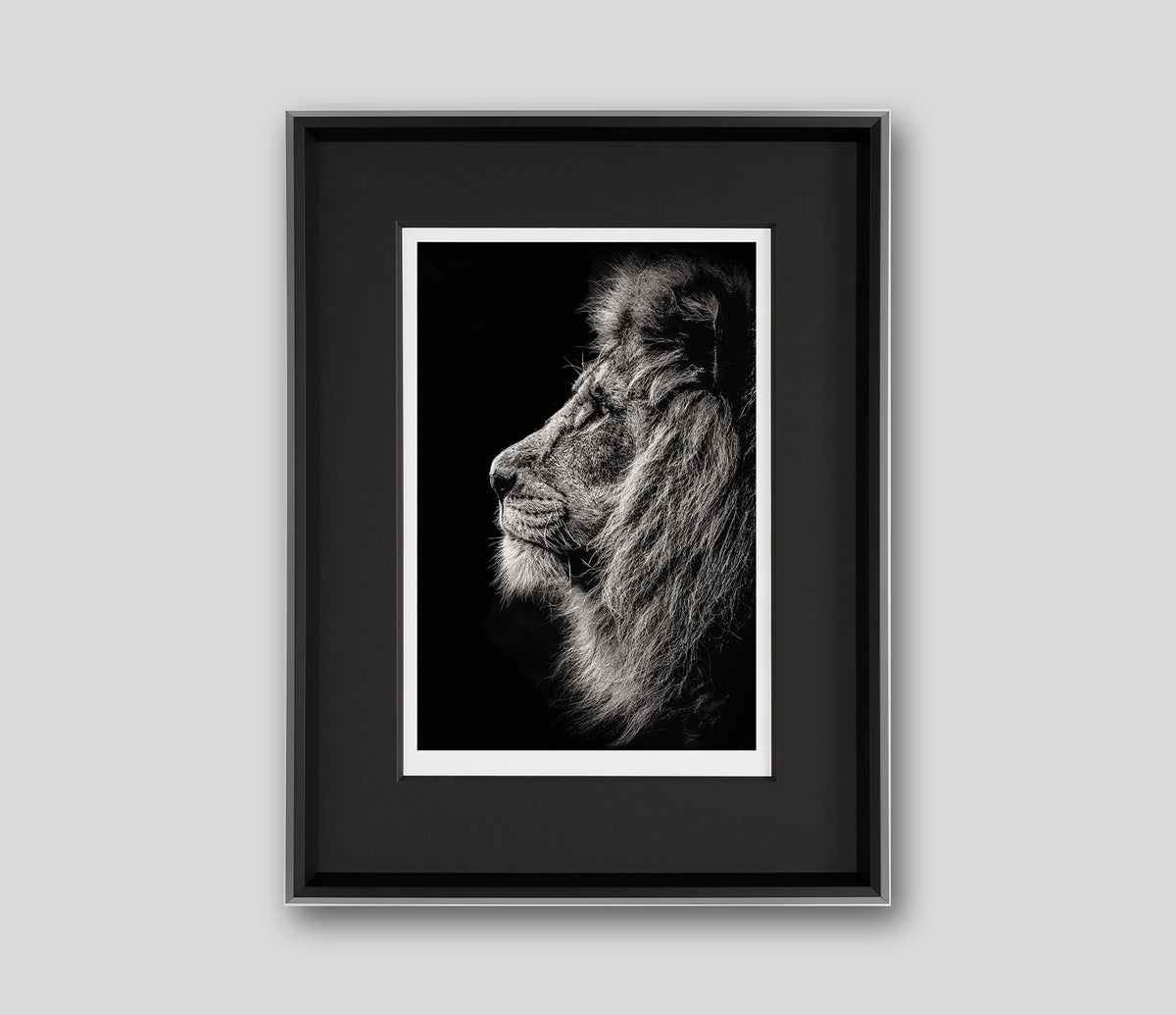 ABO PRINCE OF DARKNESS GREY