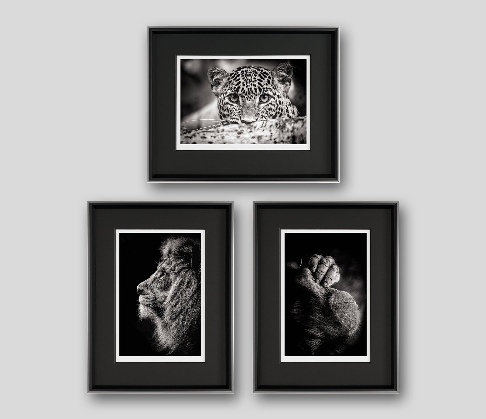 ABO PRODUCT IMAGE SET