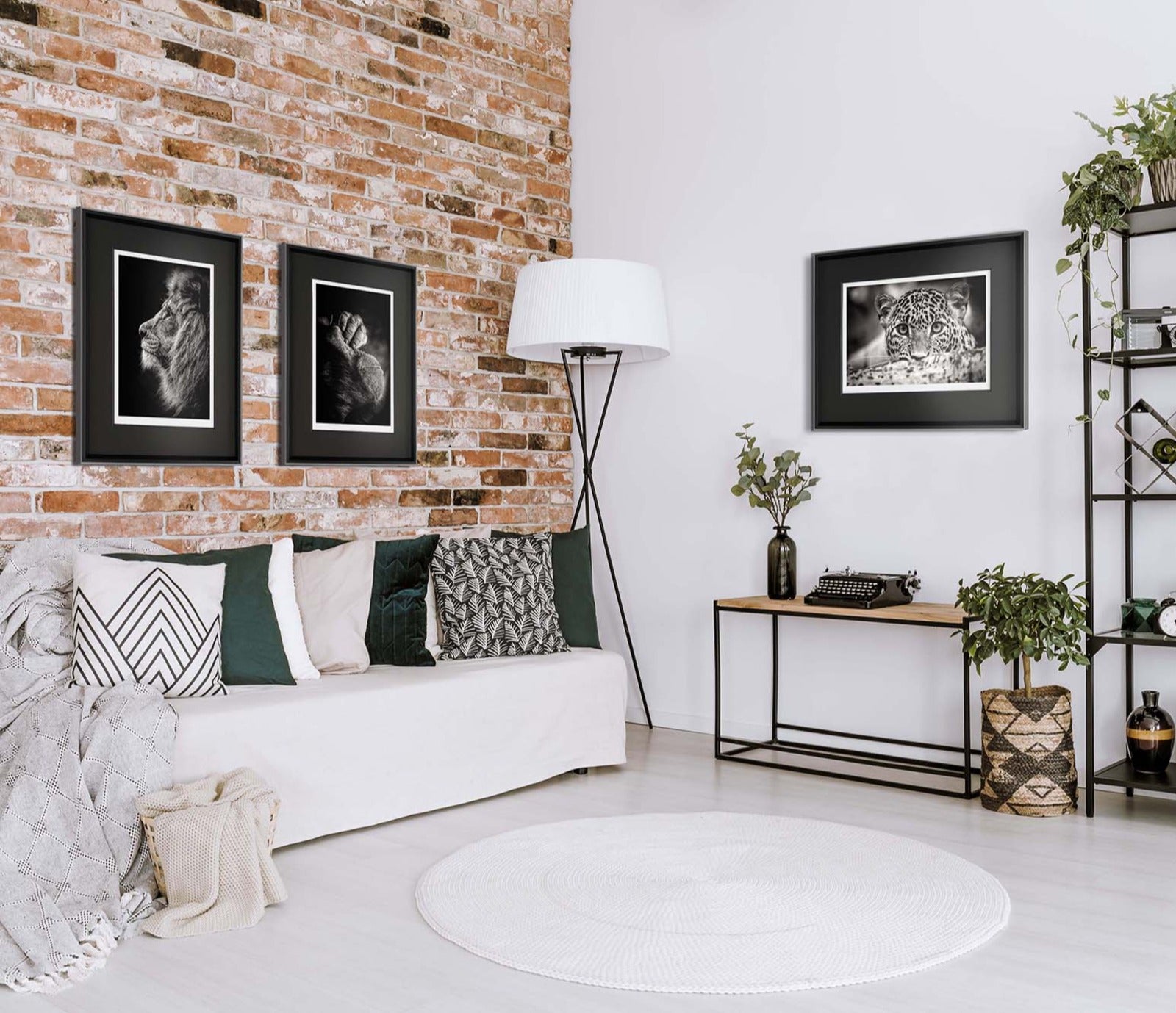 ABO Room set 1 updated 1600x1379