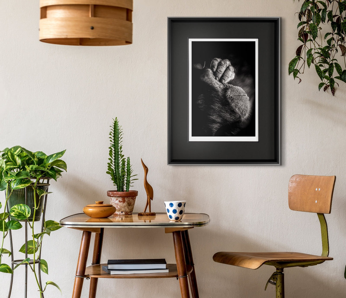 ABO Room set 2 1600x1380