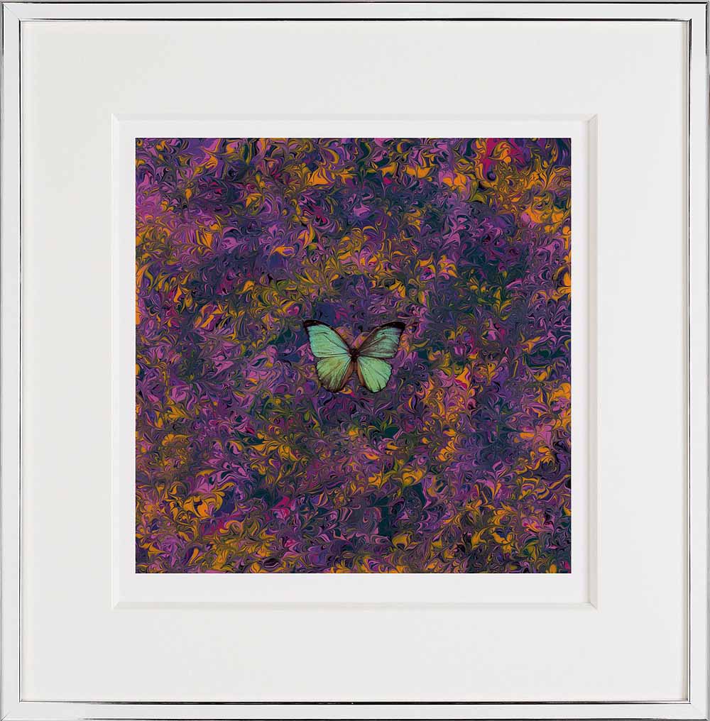 aec into the night f