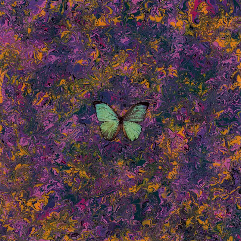 aec into the night r1