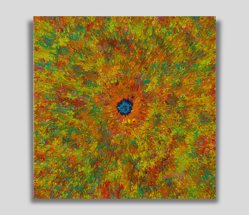 AEC ORI ABS 02188 1 In The Tide Pool Sea Anemone 1