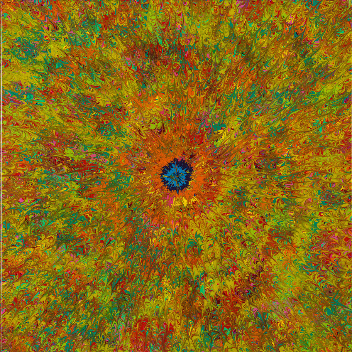 AEC ORI ABS 02188 4 In The Tide Pool Sea Anemone 1