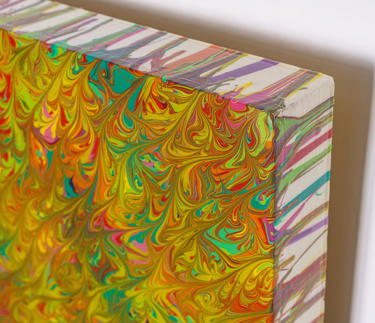 AEC ORI ABS 02188 5 In The Tide Pool Sea Anemone 1