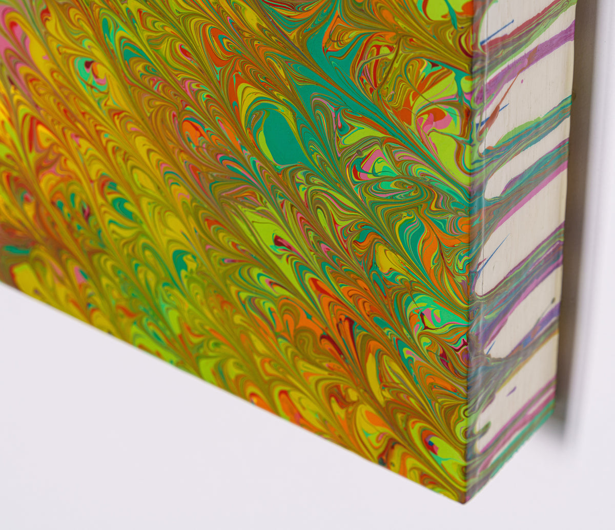 AEC ORI ABS 02188 6 In The Tide Pool Sea Anemone 1