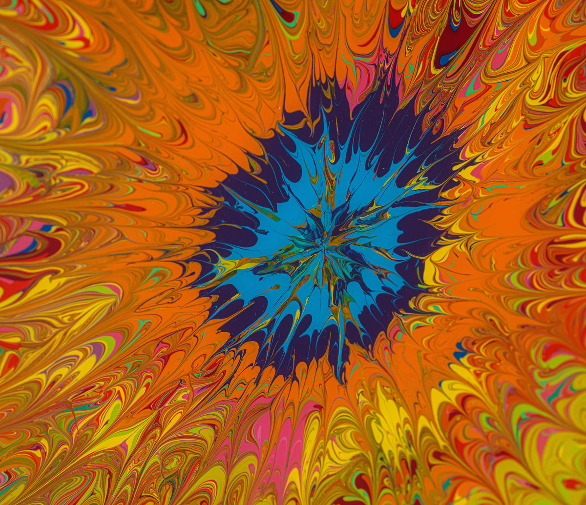 AEC ORI ABS 02188 7 In The Tide Pool Sea Anemone 1