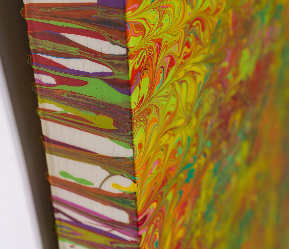 AEC ORI ABS 02188 8 In The Tide Pool Sea Anemone 1