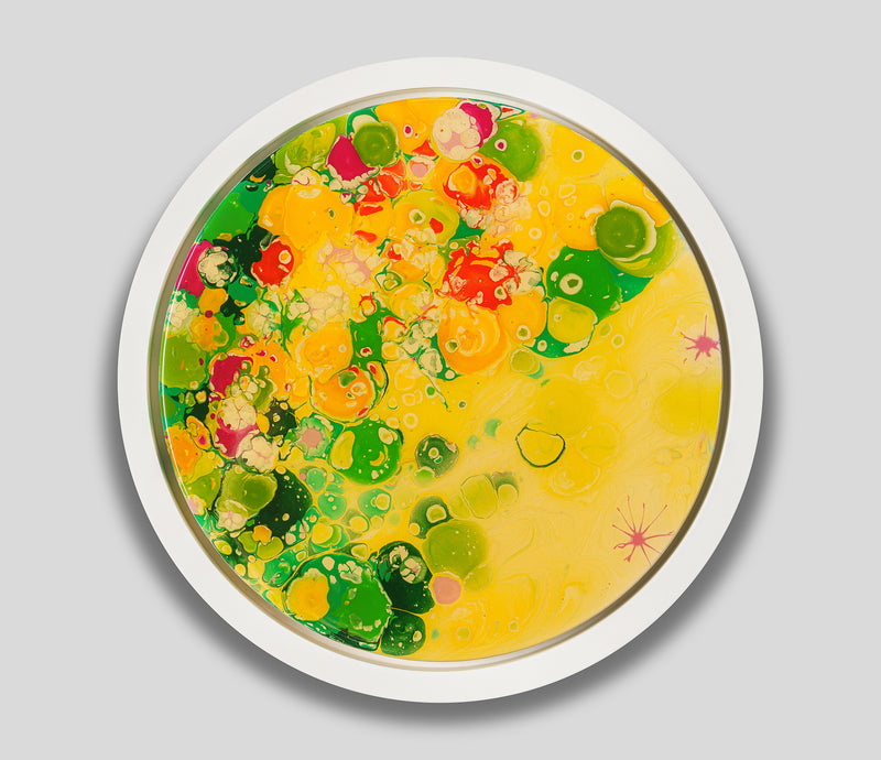 AEC ORI ABS 08821 1 To See Like The Honey Bee 8