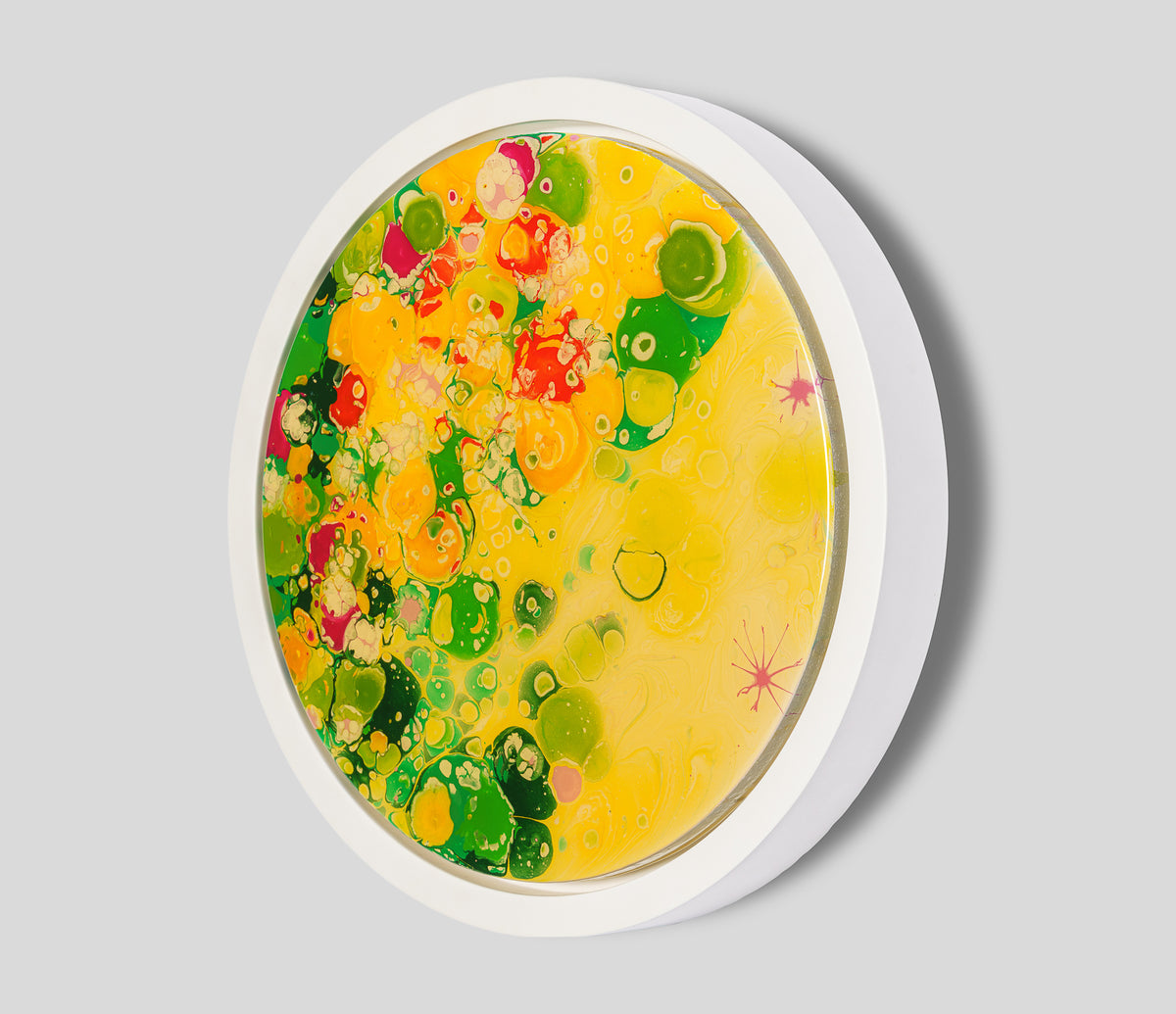 AEC ORI ABS 08821 2 To See Like The Honey Bee 8