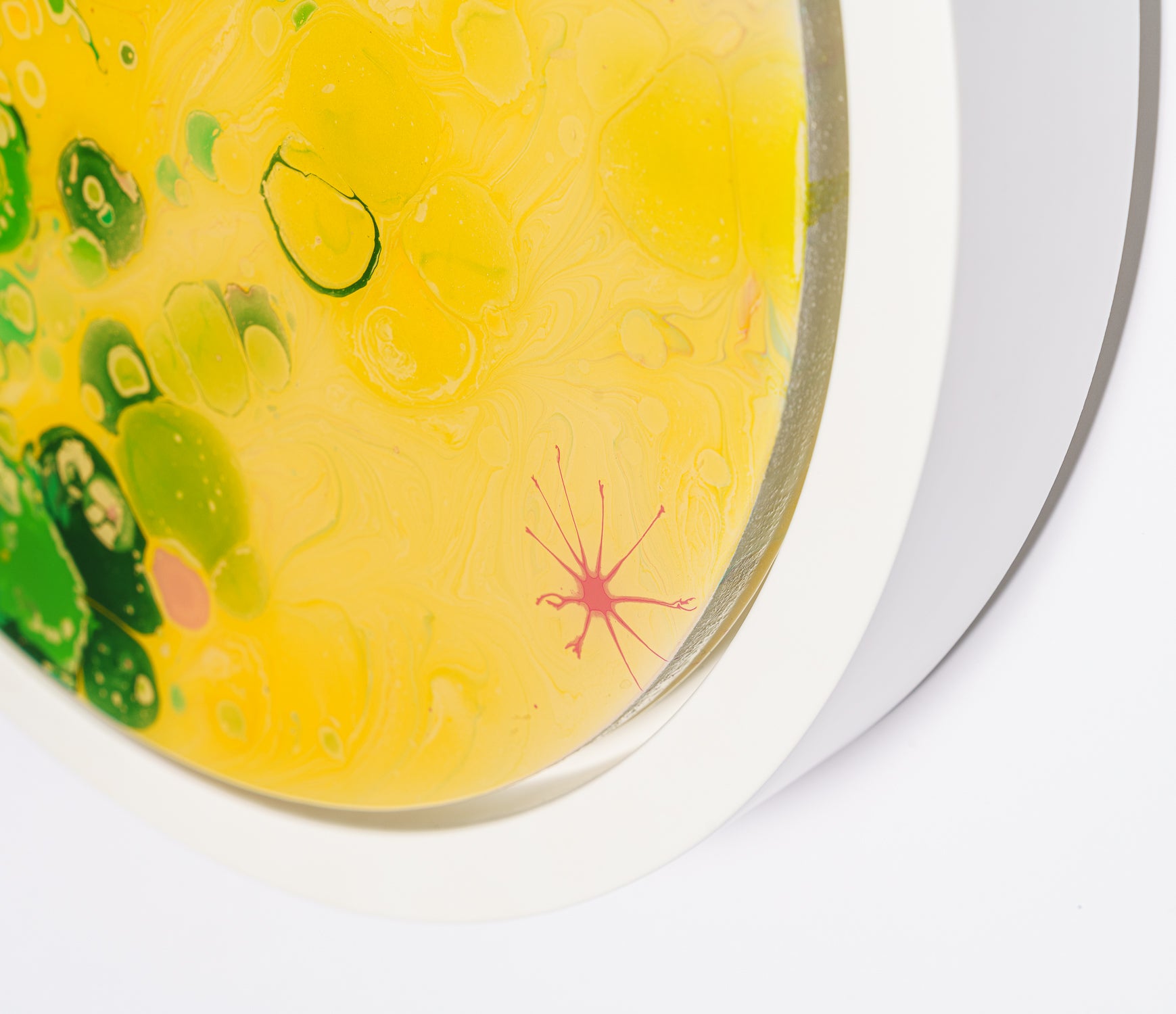 AEC ORI ABS 08821 7 To See Like The Honey Bee 8