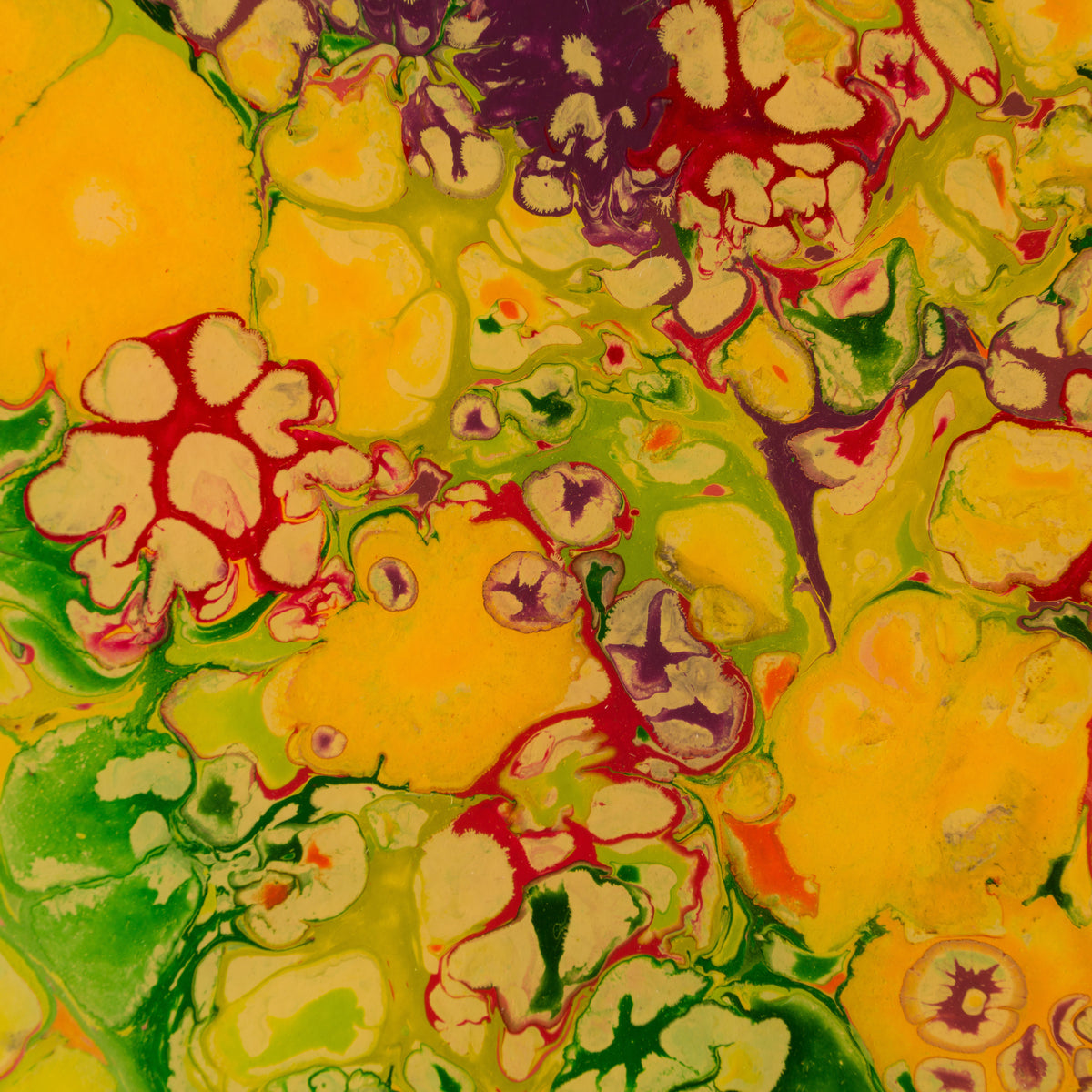 AEC ORI ABS 09195 5 Geometric 1