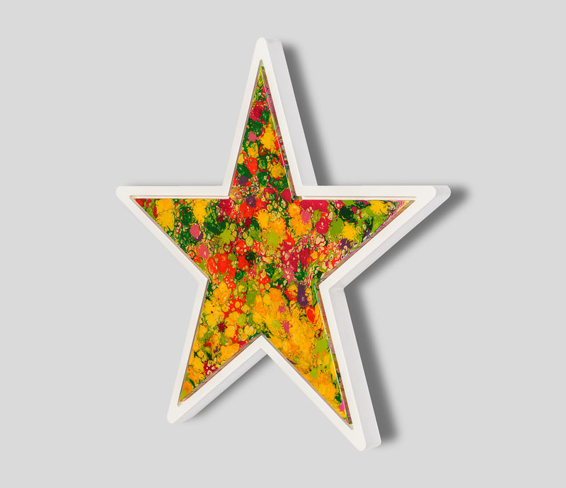 AEC ORI ABS 09200 2 Garden Star 1