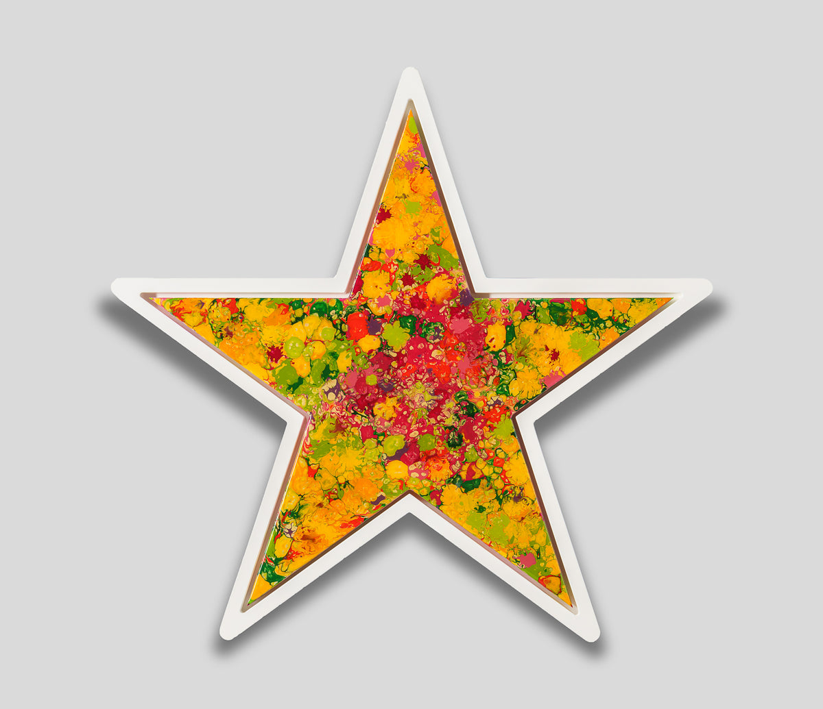 AEC ORI ABS 09202 1 Garden Star 2