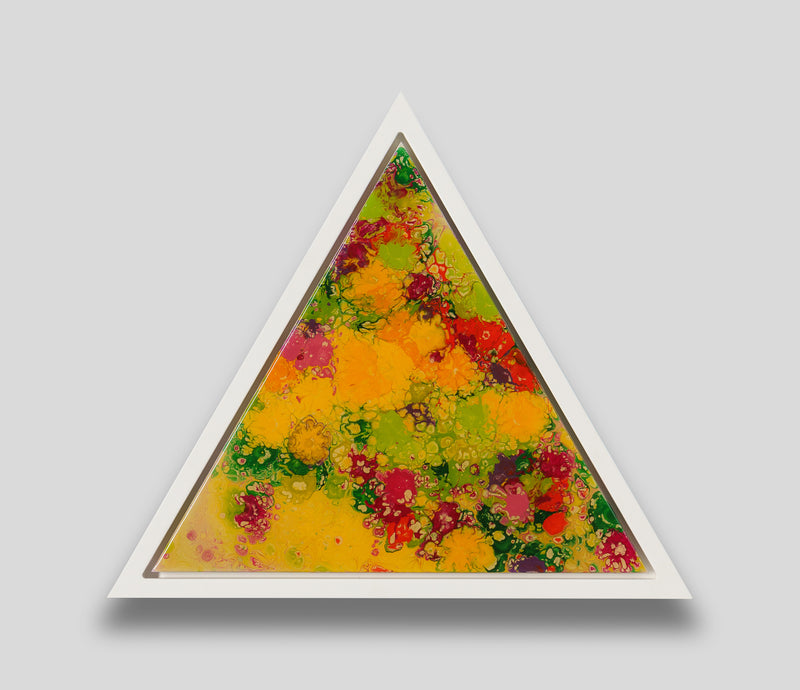 AEC ORI ABS 09213 1 The Impossible Geometry Of Nature 13