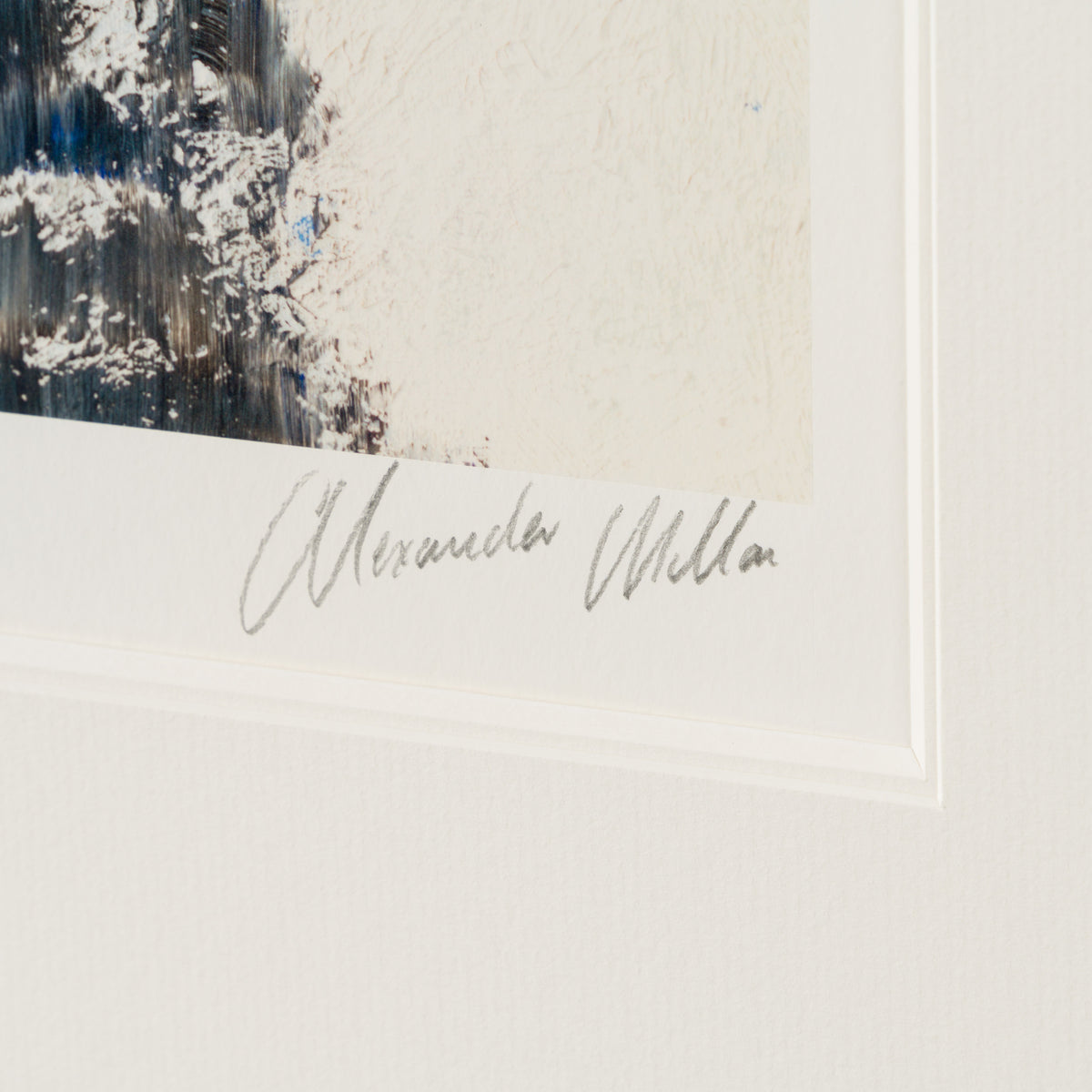 AMI SLE POR 93728 5 Trouble and Strife