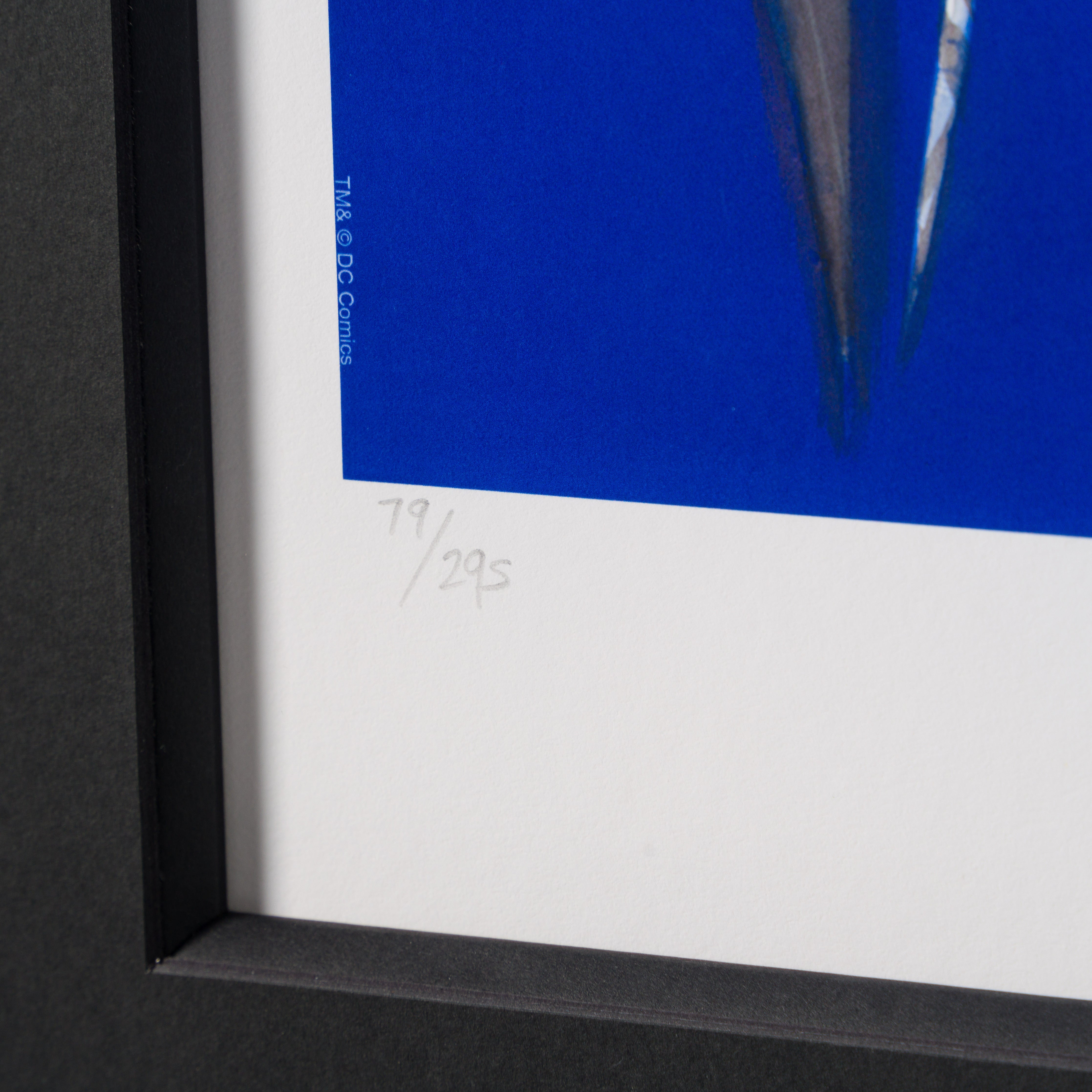 ARS SLE POR 99286 4 Superman Forever