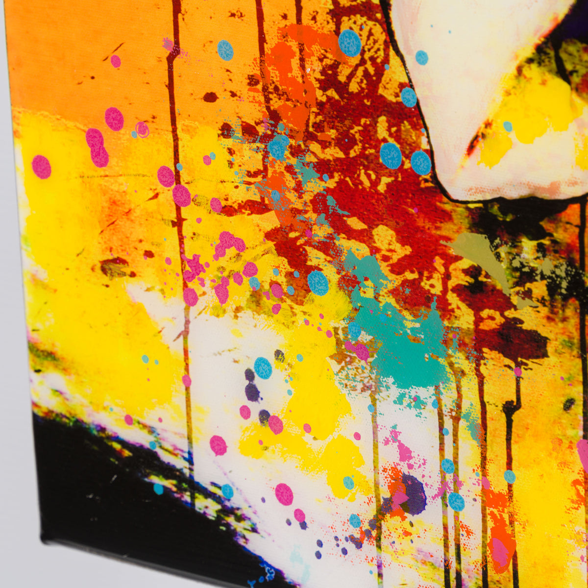 BBH ORI POR 30851 The Dragon 6