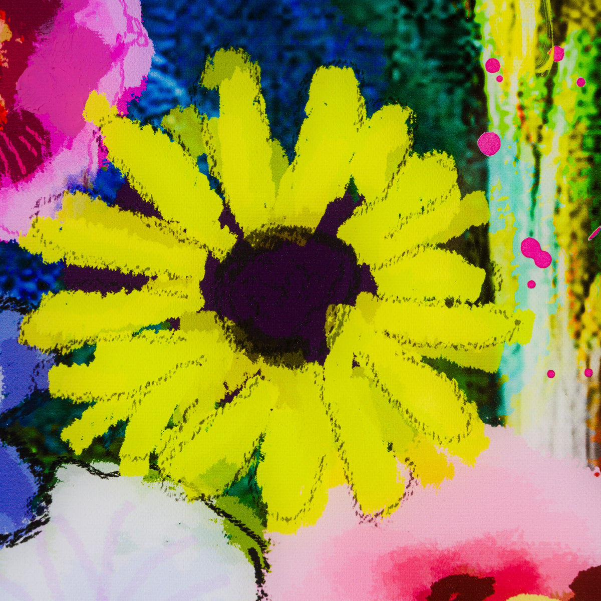 BBH ORI POR 33623 Bloom 6