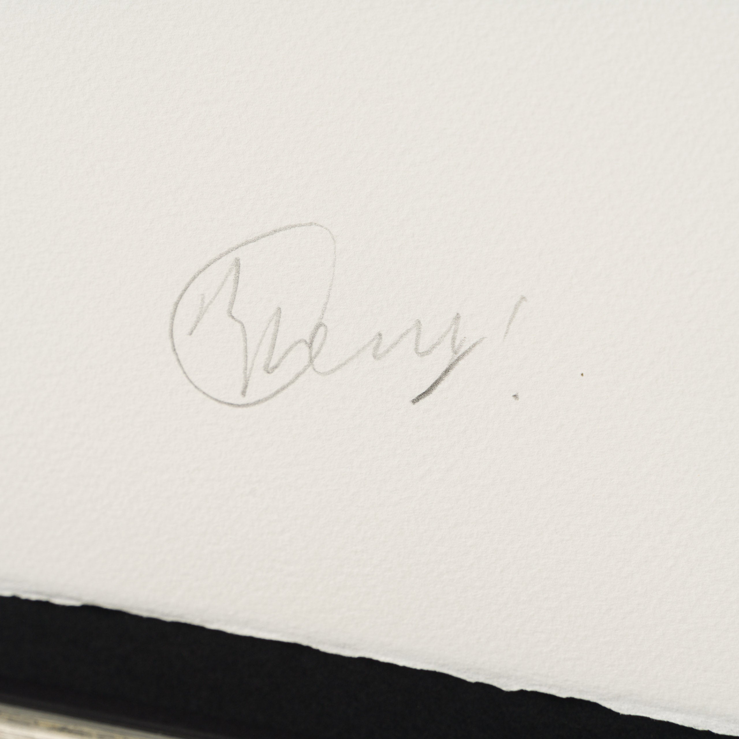 Spring 2025 | Collector’s Edition Framed Set of Five