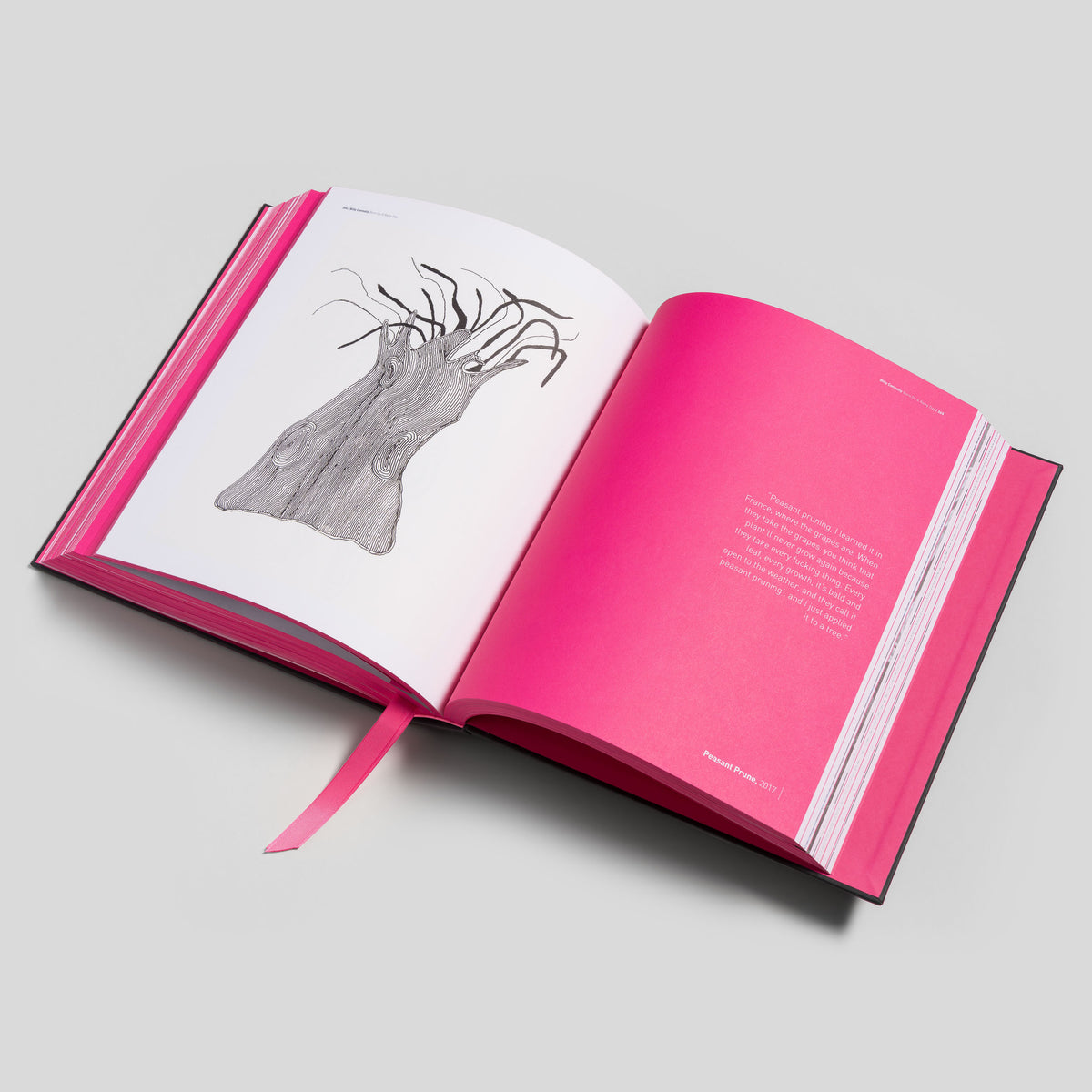 Born on a Rainy Day (Book with Framed Signed Print)