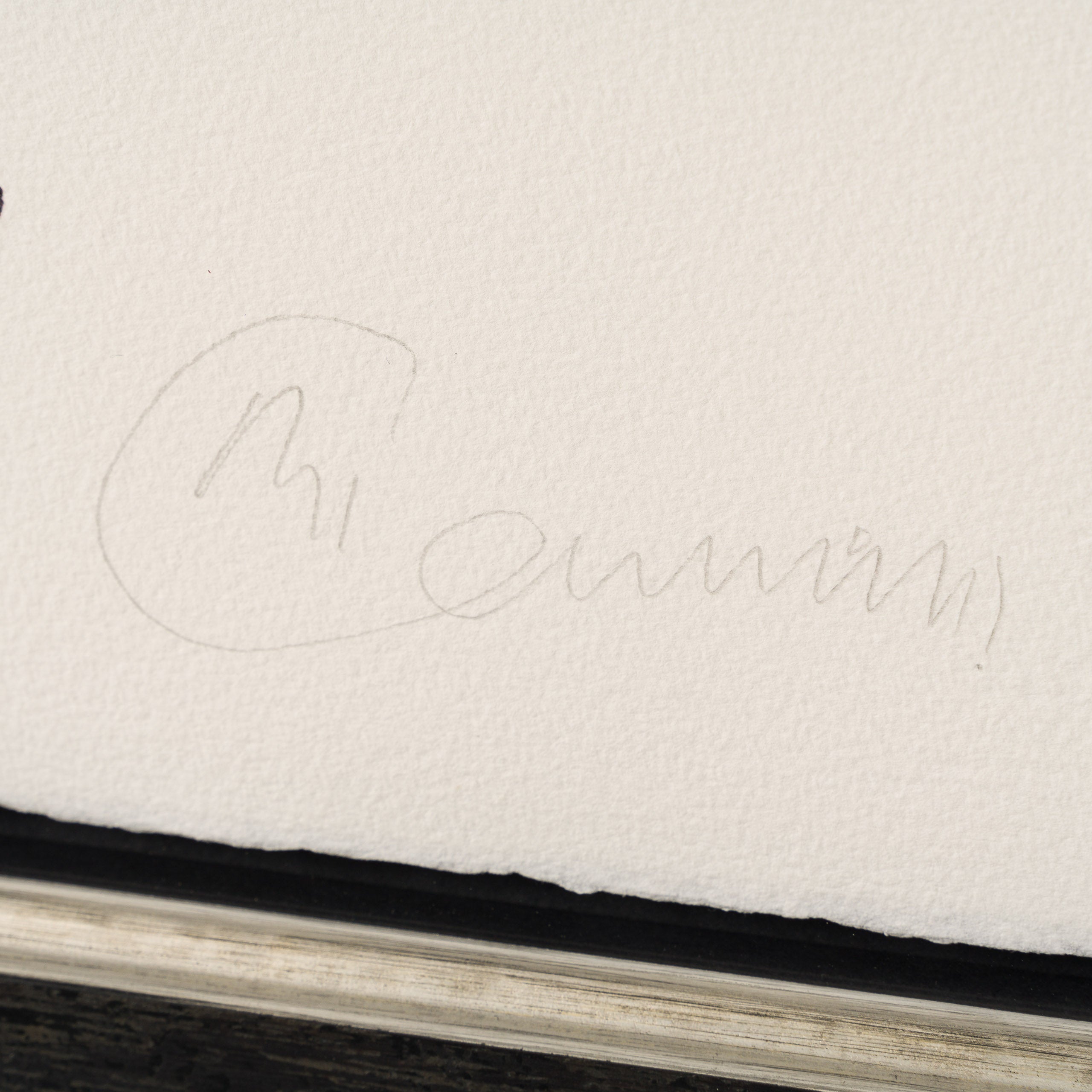 BCN Christmas Tree 3