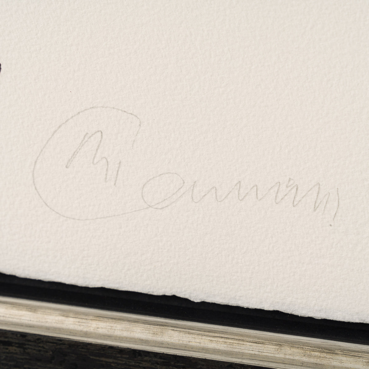 BCN Christmas Tree 3