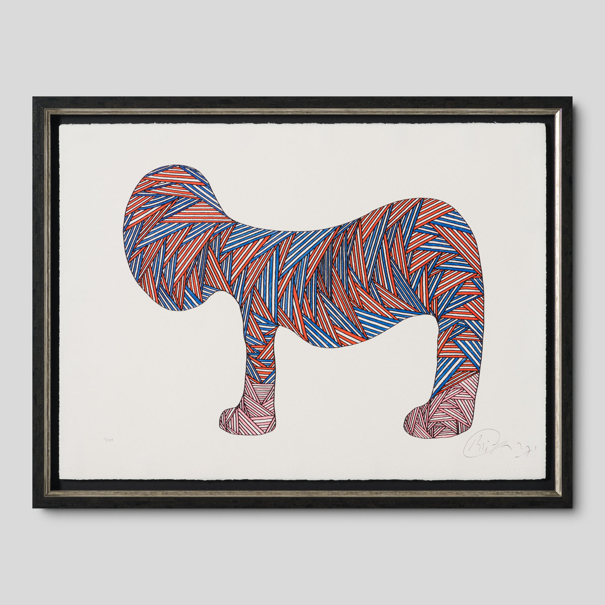 BCN Extinct Scottish Cat 1