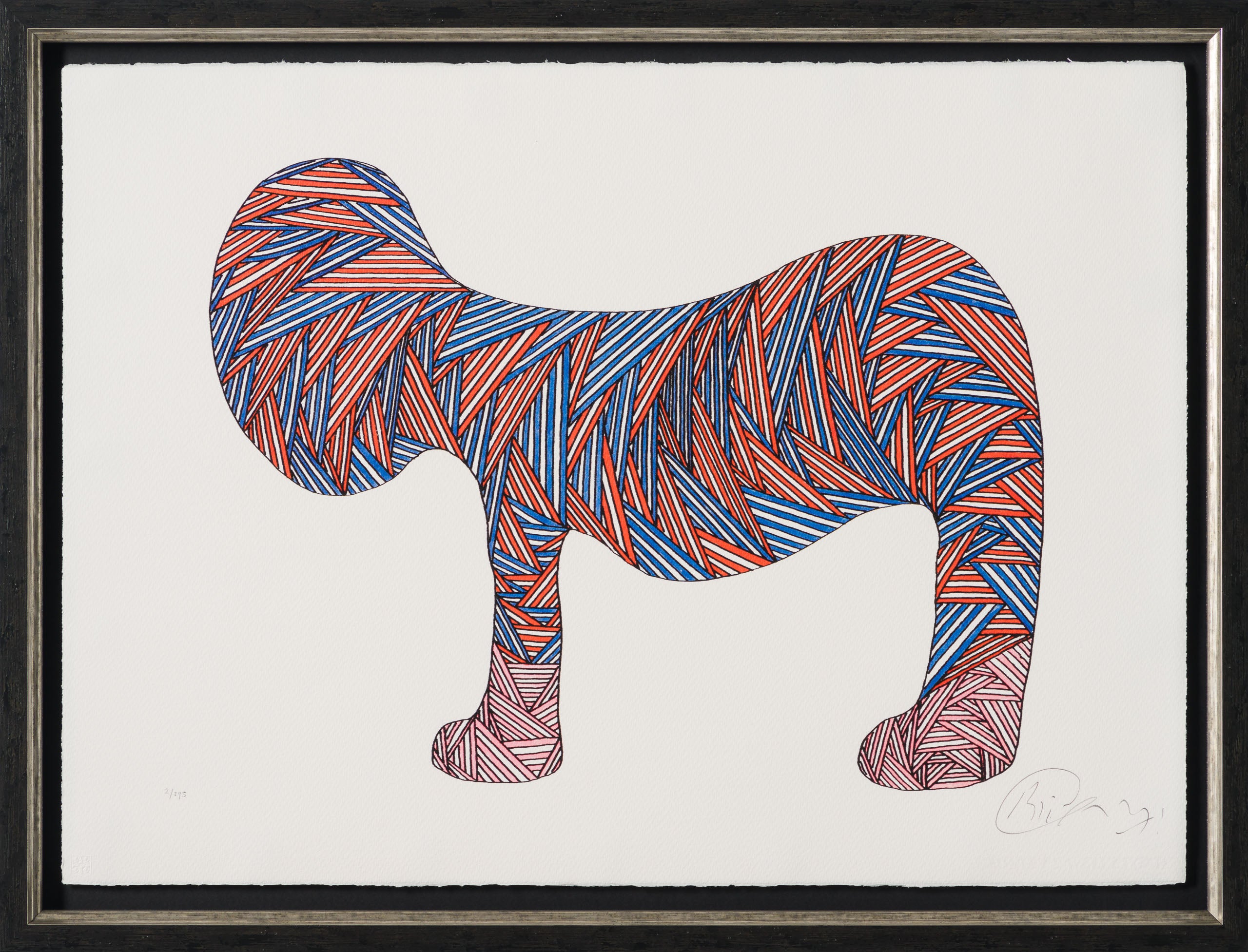 BCN Extinct Scottish Cat 30