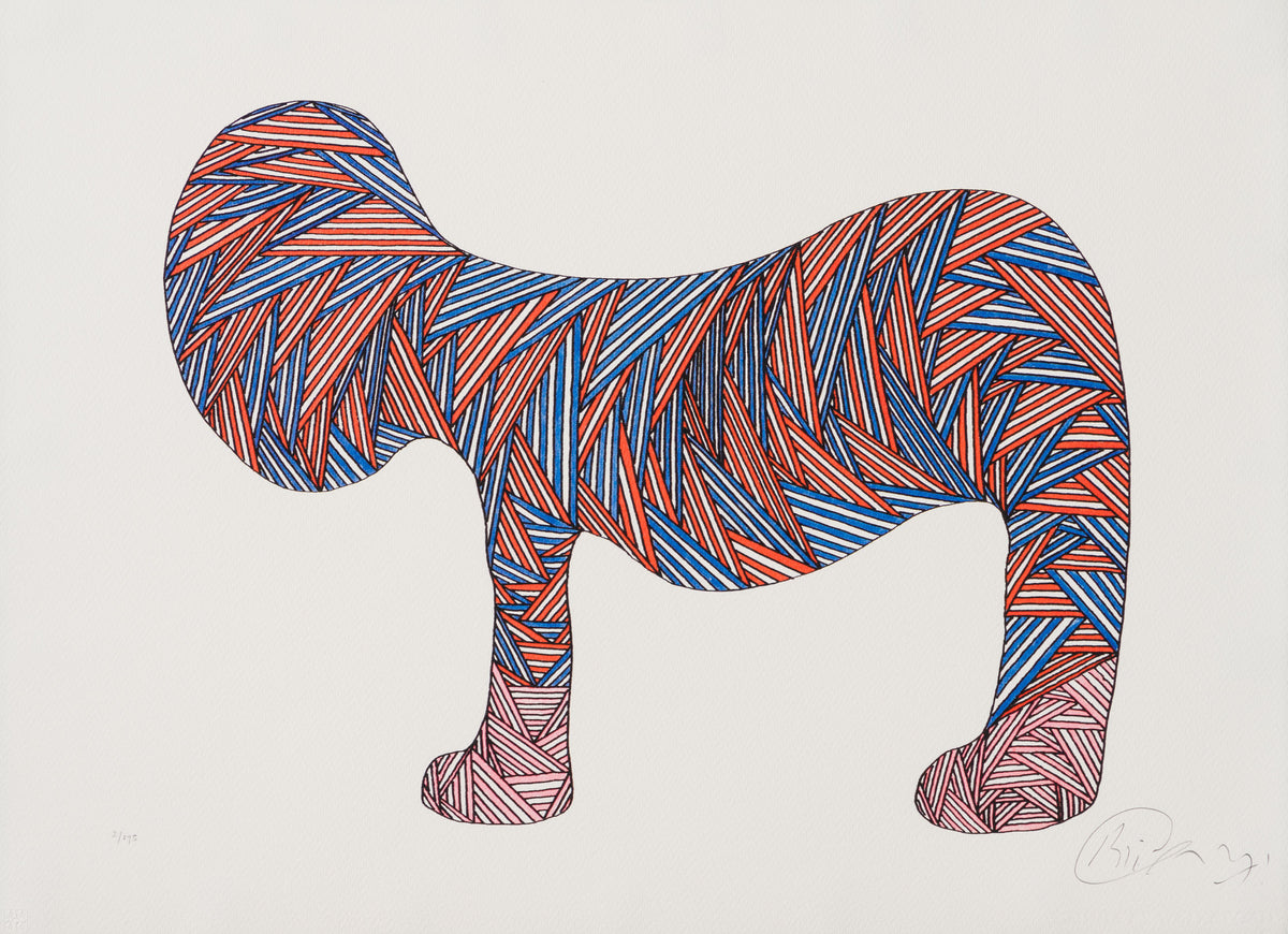 BCN Extinct Scottish Cat 31