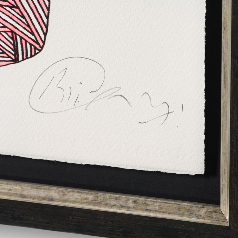 BCN Extinct Scottish Cat 3