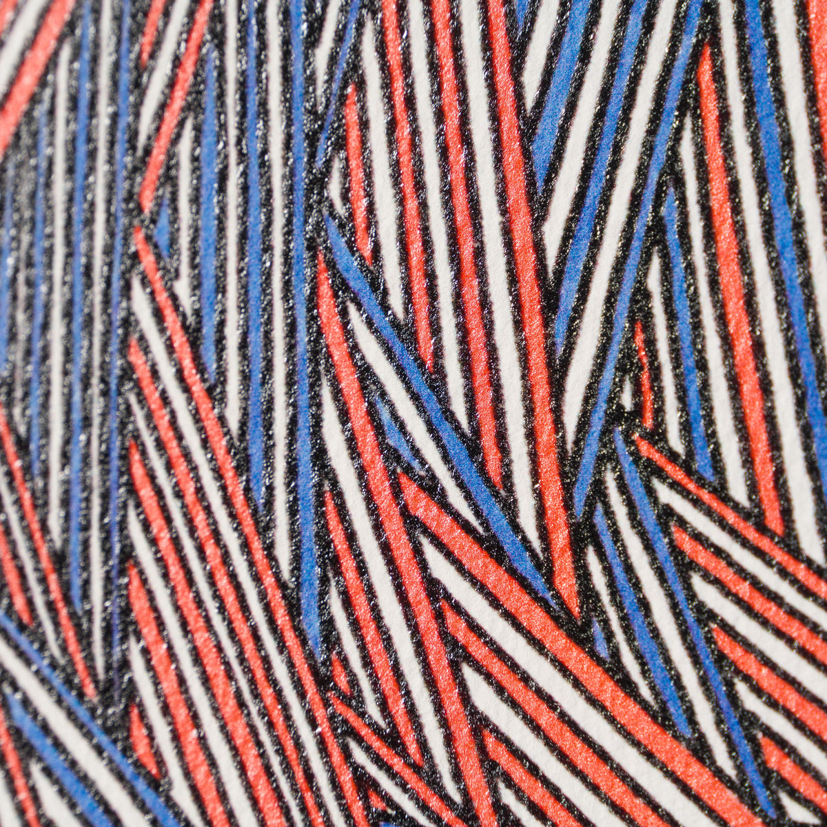 BCN Extinct Scottish Cat 6